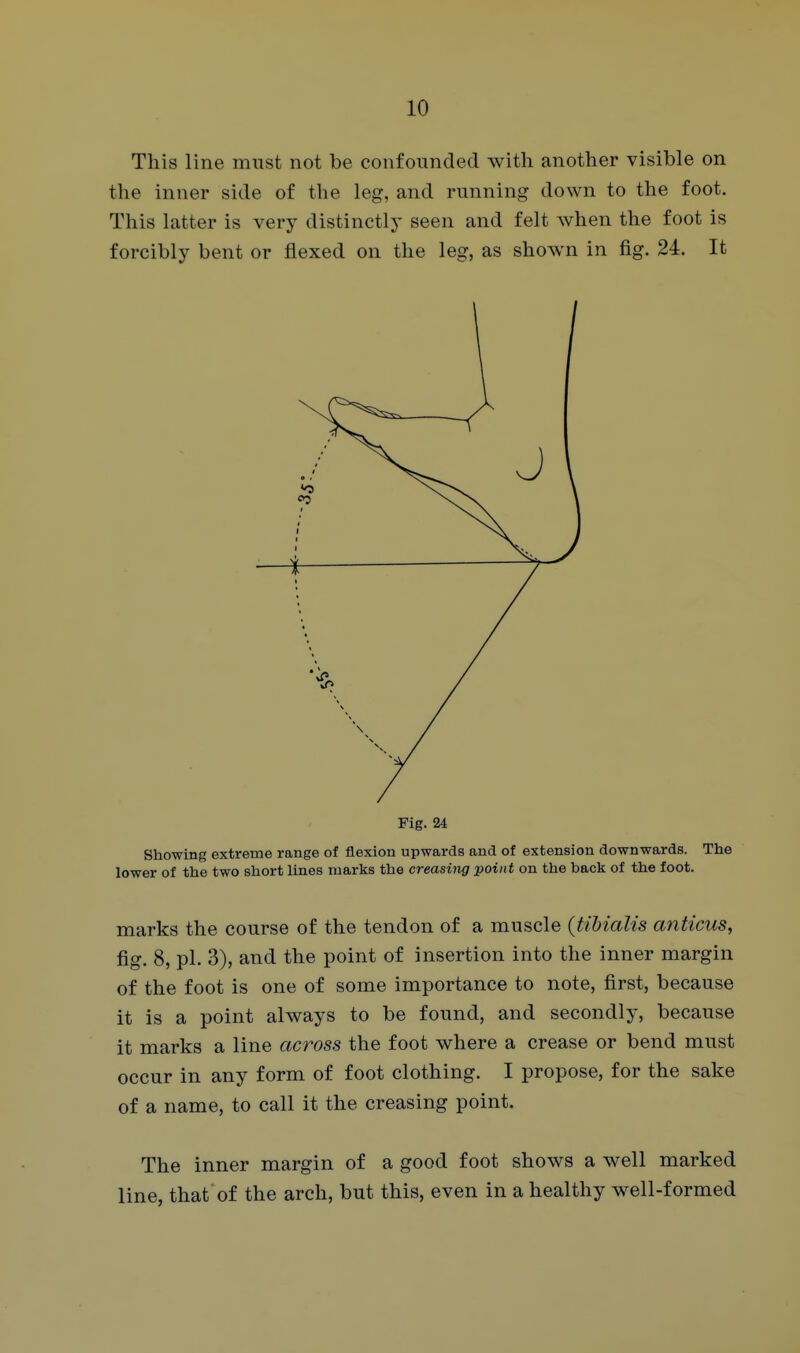 This line must not be confounded with another visible on the inner side of the leg, and running down to the foot. This latter is very distinctly seen and felt Avhen the foot is forcibly bent or flexed on the leg, as shown in fig. 24. It Fig. 24 Showing extreme range of flexion upwards and of extension downwards. The lower of the two short lines marks the creasing point on the back of the foot. marks the course of the tendon of a muscle (tibialis anticus, fig. 8, pi. 3), and the point of insertion into the inner margin of the foot is one of some importance to note, first, because it is a point always to be found, and secondly, because it marks a line across the foot where a crease or bend must occur in any form of foot clothing. I propose, for the sake of a name, to call it the creasing point. The inner margin of a good foot shows a well marked line, that of the arch, but this, even in a healthy well-formed