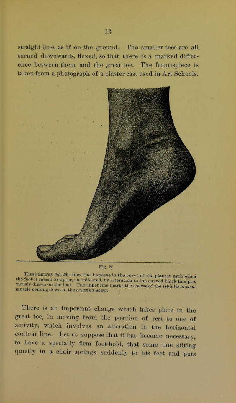 straight line, as if on the ground. The smaller toes are all turned downwards, flexed, so that there is a marked differ- ence between them and the great toe. The frontispiece is taken from a photograph of a plaster cast used in Art Schools. Fig. 20 These figures, (25, 26) show the increase in the curve of the plantar arch when the foot IS raised to tiptoe, as indicated, hy alteration in the curved bhick hue pre viously cb-awn on the foot. The upper line marks the course of the tibialis anticus muscle coming down to the creasing point. There is an important change which takes place in the great toe, in moving from the position of rest to one of activity, which involves an alteration in the horizontal contour line. Let us suppose that it has become necessary, to have a specially firm foot-hold, that some one sitting quietly in a chair springs suddenly to his feet and puts