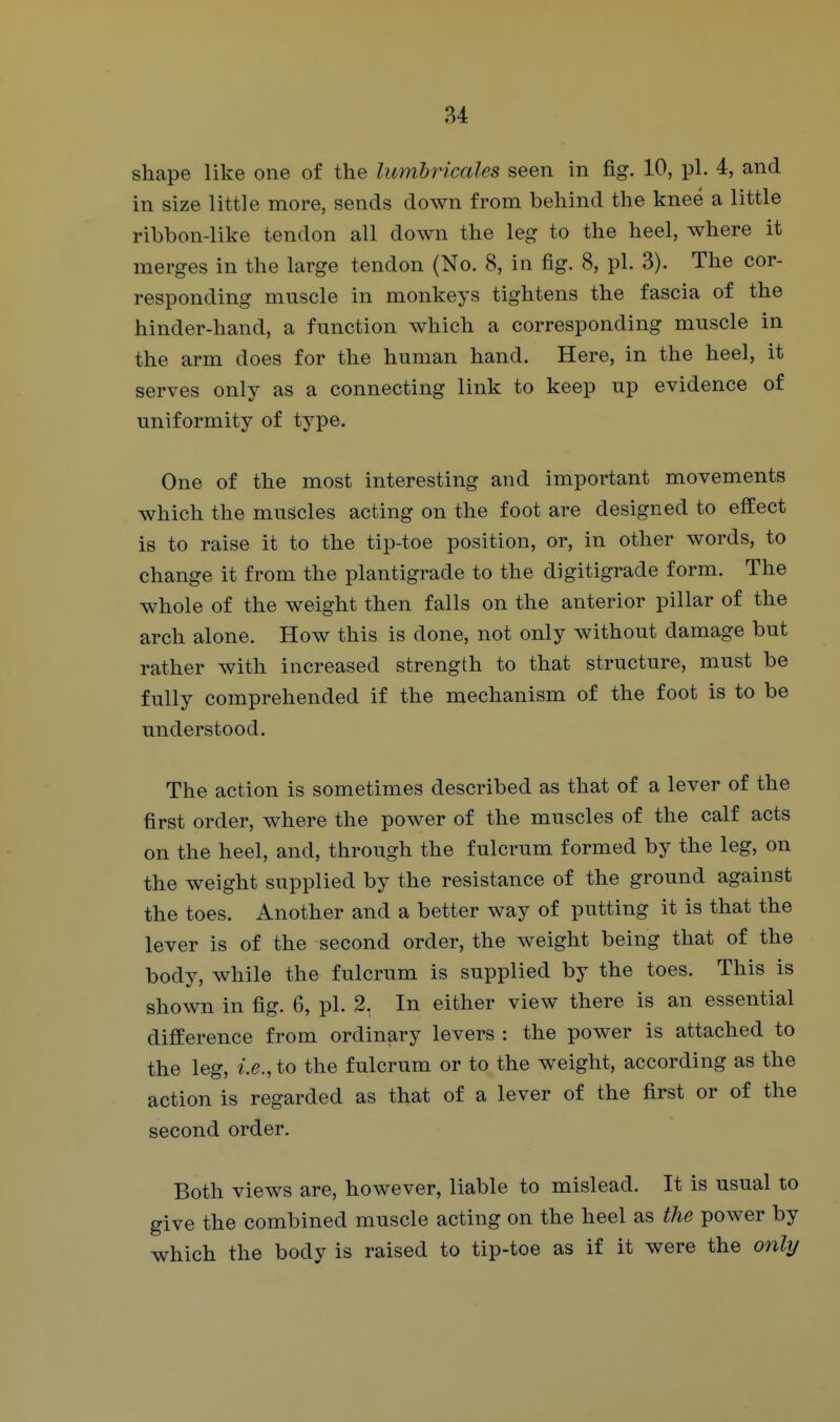 shape like one of the lumhricales seen in fig. 10, pi. 4, and in size little more, sends down from behind the knee a little ribbon-like tendon all down the leg to the heel, where it merges in the large tendon (No. 8, in fig. 8, pi. 3). The cor- responding muscle in monkeys tightens the fascia of the hinder-hand, a function which a corresponding muscle in the arm does for the human hand. Here, in the heel, it serves only as a connecting link to keep up evidence of uniformity of type. One of the most interesting and important movements which the muscles acting on the foot are designed to effect is to raise it to the tip-toe position, or, in other words, to change it from the plantigrade to the digitigrade form. The whole of the weight then falls on the anterior pillar of the arch alone. How this is done, not only without damage but rather with increased strength to that structure, must be fully comprehended if the mechanism of the foot is to be understood. The action is sometimes described as that of a lever of the first order, where the power of the muscles of the calf acts on the heel, and, through the fulcrum formed by the leg, on the weight supplied by the resistance of the ground against the toes. Another and a better way of putting it is that the lever is of the second order, the weight being that of the body, while the fulcrum is supplied by the toes. This is shown in fig. 6, pi. 2. In either view there is an essential difference from ordinary levers : the power is attached to the leg, i.e., to the fulcrum or to the weight, according as the action is regarded as that of a lever of the first or of the second order. Both views are, however, liable to mislead. It is usual to give the combined muscle acting on the heel as the power by which the body is raised to tip-toe as if it were the only