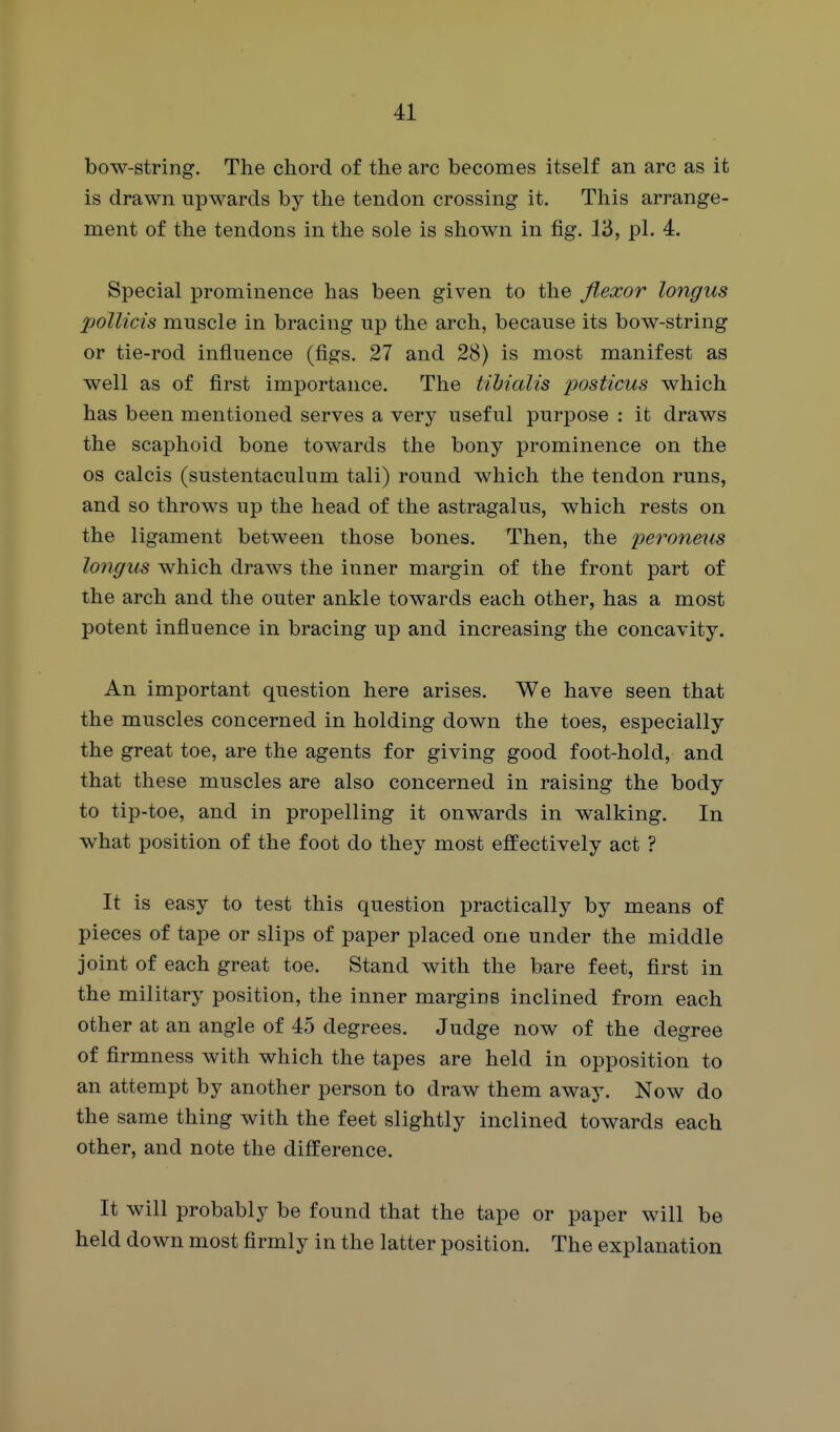 bow-string. The chord of the arc becomes itself an arc as it is drawn upwards by the tendon crossing it. This arrange- ment of the tendons in the sole is shown in fig. 13, pi. 4. Special prominence has been given to the flexor longus polUcis muscle in bracing up the arch, because its bow-string or tie-rod influence (figs. 27 and 28) is most manifest as well as of first importance. The tibialis posticus which has been mentioned serves a very useful purpose : it draws the scaphoid bone towards the bony prominence on the OS calcis (sustentaculum tali) round which the tendon runs, and so throws up the head of the astragalus, which rests on the ligament between those bones. Then, the peroneals longus which draws the inner margin of the front part of the arch and the outer ankle towards each other, has a most potent influence in bracing up and increasing the concavity. An important question here arises. We have seen that the muscles concerned in holding down the toes, especially the great toe, are the agents for giving good foot-hold, and that these muscles are also concerned in raising the body to tip-toe, and in propelling it onwards in walking. In what position of the foot do they most effectively act ? It is easy to test this question practically by means of pieces of tape or slips of paper placed one under the middle joint of each great toe. Stand with the bare feet, first in the military position, the inner margins inclined from each other at an angle of 45 degrees. Judge now of the degree of firmness with which the tapes are held in opposition to an attempt by another person to draw them away. Now do the same thing with the feet slightly inclined towards each other, and note the difference. It will probably be found that the tape or paper will be held down most firmly in the latter position. The explanation