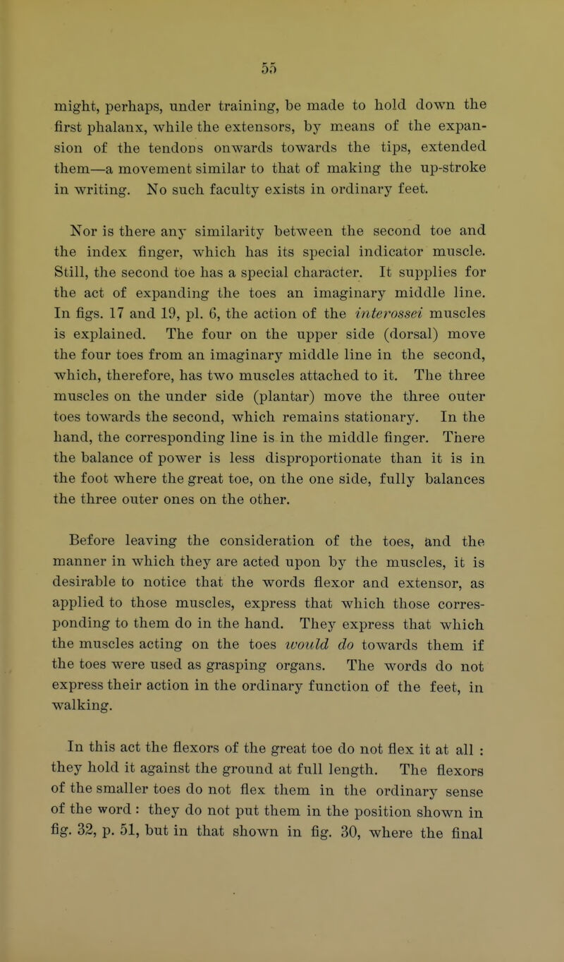 might, perhaps, under training, be made to hold down the first phalanx, while the extensors, by means of the expan- sion of the tendons onwards towards the tips, extended them—a movement similar to that of making the up-stroke in writing. No such faculty exists in ordinary feet. Nor is there any similarity between the second toe and the index finger, which has its special indicator muscle. Still, the second toe has a special character. It supplies for the act of expanding the toes an imaginary middle line. In figs. 17 and 19, pi. 6, the action of the interossei muscles is explained. The four on the upper side (dorsal) move the four toes from an imaginary middle line in the second, which, therefore, has two muscles attached to it. The three muscles on the under side (plantar) move the three outer toes towards the second, which remains stationary. In the hand, the corresponding line is in the middle finger. There the balance of power is less disproportionate than it is in the foot where the great toe, on the one side, fully balances the three outer ones on the other. Before leaving the consideration of the toes, and the manner in which they are acted upon hj the muscles, it is desirable to notice that the words fiexor and extensor, as applied to those muscles, express that which those corres- ponding to them do in the hand. They express that which the muscles acting on the toes ivould do towards them if the toes were used as grasping organs. The words do not express their action in the ordinary function of the feet, in walking. In this act the flexors of the great toe do not flex it at all : they hold it against the ground at full length. The flexors of the smaller toes do not flex them in the ordinary sense of the word: they do not put them in the position shown in fig. 32, p. 51, but in that shown in fig. 30, where the final