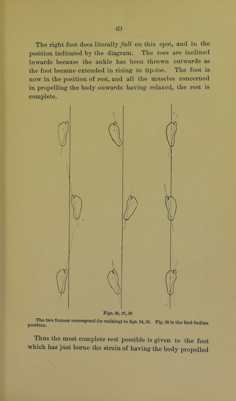 The right foot does literally fall on this spot, and in the position indicated by the diagram. The toes are inclined inwards because the ankle has been thrown outwards as the foot became extended in rising to tip-toe. The foot is now in the position of rest, and all the muscles concerned in propelling the body onwards having relaxed, the rest is complete. Figs. 36, 37, 38 The two former correspond (in walking) to figs. 34,35. Fig. 38 is the Eed-Indian position. Thus the most complete rest possible is given to the foot which has just borne the strain of having the body propelled