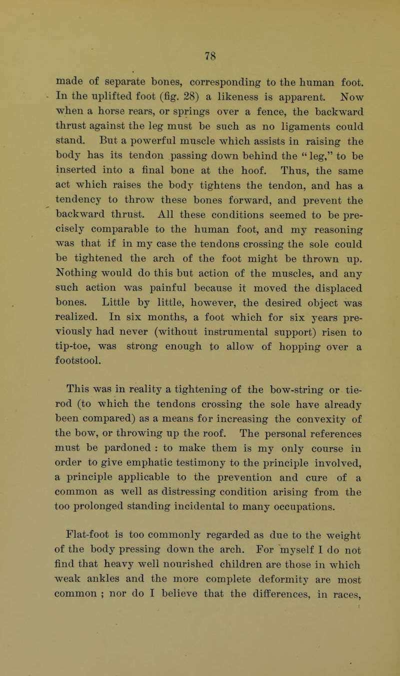 made of separate bones, corresponding to the human foot. In the uplifted foot (fig. 28) a likeness is apparent. Now when a horse rears, or springs over a fence, the backward thrust against the leg must be such as no ligaments could stand. But a powerful muscle which assists in raising the body has its tendon passing down behind the  leg, to be inserted into a final bone at the hoof. Thus, the same act which raises the body tightens the tendon, and has a tendency to throw these bones forward, and prevent the backward thrust. All these conditions seemed to be pre- cisely comparable to the human foot, and my reasoning was that if in my case the tendons crossing the sole could be tightened the arch of the foot might be thrown up. Nothing would do this but action of the muscles, and any such action was painful because it moved the displaced bones. Little by little, however, the desired object was realized. In six months, a foot which for six years pre- viously had never (without instrumental support) risen to tip-toe, was strong enough to allow of hopping over a footstool. This was in reality a tightening of the bow-string or tie- rod (to which the tendons crossing the sole have already been compared) as a means for increasing the convexity of the bow, or throwing up the roof. The personal references must be pardoned : to make them is my only course in order to give emphatic testimony to the principle involved, a principle applicable to the prevention and cure of a common as well as distressing condition arising from the too prolonged standing incidental to many occupations. Flat-foot is too commonly regarded as due to the weight of the body pressing down the arch. For myself I do not find that heavy well nourished children are those in which weak ankles and the more complete deformity are most common ; nor do I believe that the differences, in races,