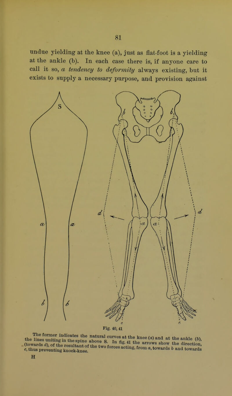 undue yielding at the knee (a), just as flat-foot is a yielding at the ankle (b). In each case there is, if anyone care to call it so, a tendency to deformity always existing, but it exists to supply a necessary purpose, and provision against Fig. 40, 41 H