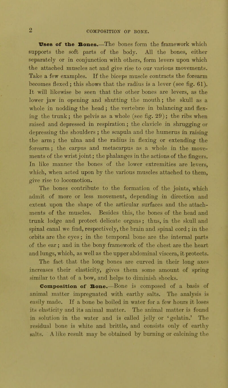 Uses of the Bones.—The bones form the framework which supports the soft parts of the body. All the bones, either separately or in conjunction with others, form levers upon which the attached muscles act and give rise to our various movements. Take a few examples. If the biceps muscle contracts the forearm becomes flexed; this shows that the radius is a lever (see fig. 61). It will likewise be seen that the other bones are levers, as the lower jaw in opening and shutting the mouth; the skull as a whole in nodding the head; the vertebrae in balancing and flex- ing the trunk; the pelvis as a whole (see fig. 29); the ribs when raised and depressed in respiration; the clavicle in shrugging or depressing the shoulders; the scapula and the humerus in raising the arm; the ulna and the radius in flexing or extending the forearm; the carpus and metacarpus as a whole in the move- ments of the wrist joint; the phalanges in the actions of the fingers. In like manner the bones of the lower extremities are levers, which, when acted upon by the various muscles attached to them, give rise to locomotion. The bones contribute to the formation of the joints, which admit of more or less movement, depending in direction and extent upon the shape of the articular surfaces and the attach- ments of the muscles. Besides this, the bones of the head and trunk lodge and protect delicate organs; thus, in the skull and spinal canal we find, respectively, the brain and spinal cord; in the orbits are the eyes; in the temporal bone are the internal parts of the ear; and in the bony framework of the chest are the heart and lungs, which, as well as the upper abdominal viscera, it protects. The fact that the long bones are curved in their long axes increases their elasticity, gives them some amount of spring similar to that of a bow, and helps to diminish shocks. Composition of Bone.—Bone is composed of a basis of animal matter impregnated with earthy salts. The analysis is easily made. If a bone be boiled in water for a few hours it loses its elasticity and its animal matter. The animal matter is found in solution in the water and is called jelly or 'gelatin.' The residual bone is white and brittle, and consists only of earthy salts. A like result may be obtained by burning or calcining the