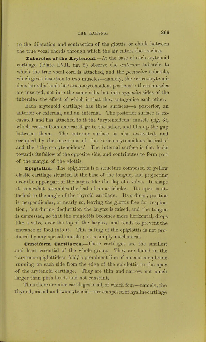 to the dilatation and contraction of the glottis or chink between the true vocal chords through which the air enters the trachea. Tubercles of the Arytenoid.—At the base of each arytenoid cartilage (Plate LVII. fig. 2) observe the anterior tubercle to which the true vocal cord is attached, and the posterior tubercle, which gives insertion to two muscles—namely, the * crico-arytenoi- deus lateralis' and the ' crico-arytenoideus posticus ': these muscles are inserted, not into the same side, but into opposite sides of the tubercle: the effect of which is that they antagonise each other. Each arytenoid cartilage has three surfaces—a posterior, an anterior or external, and an internal. The posterior surface is ex- cavated and has attached to it the ' arytenoideus' muscle (fig. 3), which crosses from one cartilage to the other, and fills up the gap between them. The anterior surface is also excavated, and occupied by the insertions of the i crico-arytenoideus lateralis ' and the * thyro-arytenoideus.' The internal surface is flat, looks towards its fellow of the opposite side, and contributes to form part of the margin of the glottis. Epiglottis.—The epiglottis is a structure composed of yellow elastic cartilage situated at the base of the tongue, and projecting over the upper part of the larynx like the flap of a valve. In shape it somewhat resembles the leaf of an artichoke. Its apex is at- tached to the angle of the thyroid cartilage. Its ordinary position is perpendicular, or nearly so, leaving the glottis free for respira- tion ; but during deglutition the larynx is raised, and the tongue is depressed, so that the epiglottis becomes more horizontal, dnyps like a valve over the top of the larynx, and tends to prevent the entrance of food into it. This falling of the epiglottis is not pro- duced by any special muscle ; it is simply mechanical. Cuneiform Cartilag-es.—These cartilages are the smallest and least essential of the whole group. They are found in the * aryteno-epiglottidean fold,' a prominent line of mucous membrane running on each side from the edge of the epiglottis to the apex of the arytenoid cartilage. They are thin and narrow, not much larger than pin's heads and not constant. Thus there are nine cartilages in all, of which four—namely, the thyroid, cricoid and twoarytenoid—are composed of hyaline cartilage