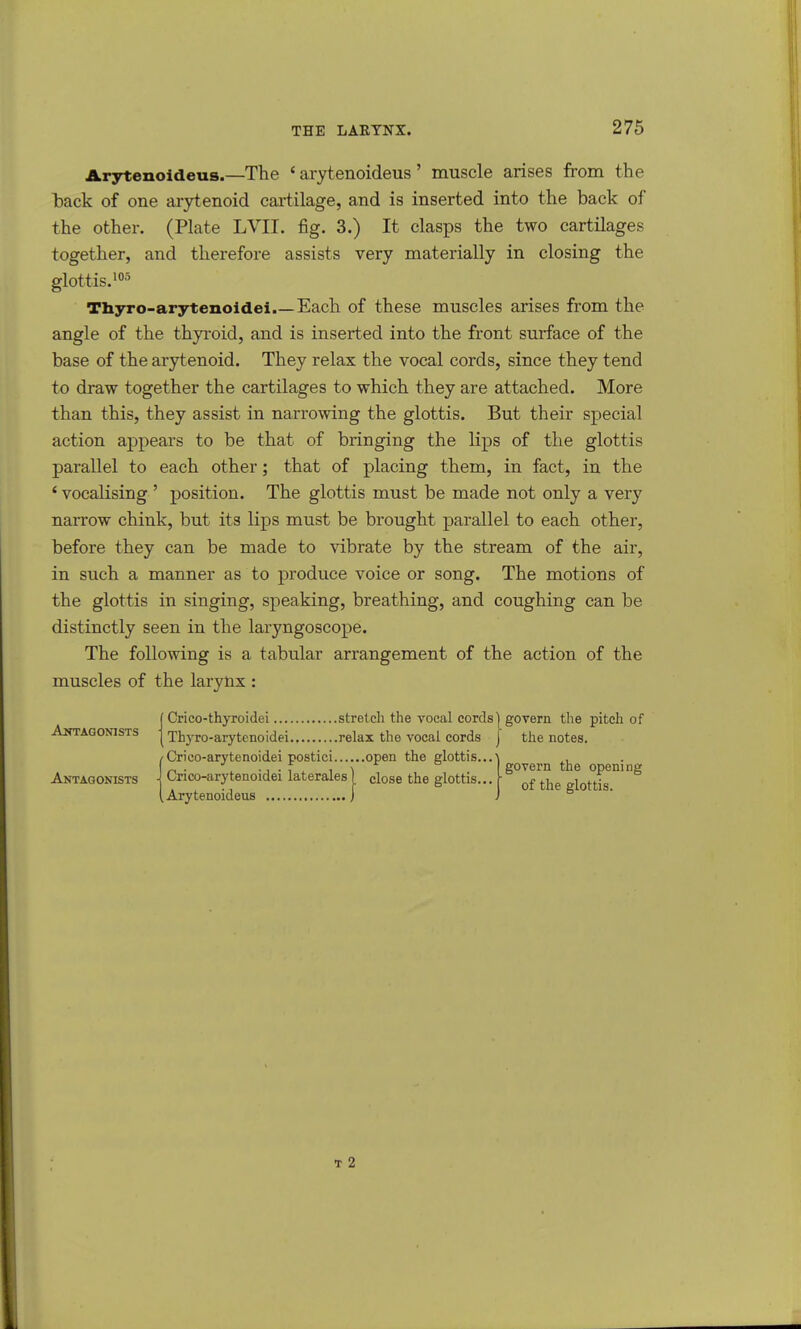 Arytenoideus.—The ' arytenoideus ' muscle arises from the back of one arytenoid cartilage, and is inserted into the back of the other. (Plate LVII. fig. 3.) It clasps the two cartilages together, and therefore assists very materially in closing the glottis.105 Thyro-arytenoidei.—Each of these muscles arises from the angle of the thyroid, and is inserted into the front surface of the base of the arytenoid. They relax the vocal cords, since they tend to draw together the cartilages to which they are attached. More than this, they assist in narrowing the glottis. But their special action appears to be that of bringing the lips of the glottis parallel to each other; that of placing them, in fact, in the ' vocalising ' position. The glottis must be made not only a very narrow chink, but its lips must be brought parallel to each other, before they can be made to vibrate by the stream of the air, in such a manner as to produce voice or song. The motions of the glottis in singing, speaking, breathing, and coughing can be distinctly seen in the laryngoscope. The following is a tabular arrangement of the action of the muscles of the larynx : Antagonists Crico-thyroidei stretch the vocal cords] govern the pitch of Thyro-arytenoidei relax the vocal cords j the notes. /Crico-arytenoidei postici open the glottis...' Antagonists \ Crico-arytenoidei laterales (Arytenoideus close the glottis. govern the opening of the glottis.