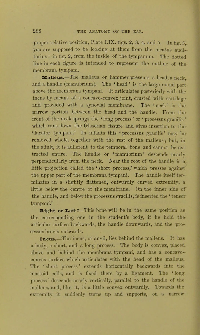 proper relative position, Plate LIX. figs. 2, 3, 4, and 5. In fig. 3r you are supposed to be looking at them from the meatus audi- torius ; in fig. 2, from the inside of the tympanum. The dotted line in each figure is intended to represent the outline of the membrana tympani. Malleus.—The malleus or hammer presents a head, a neck, and a handle (manubrium). The ' head ' is the large round part above the membrana tympani. It articulates posteriorly with the incus by means of a concavo-convex joint, crusted with cartilage and provided with a synovial membrane. The * neck' is the narrow portion between the head and the handle. From the front of the neck springs the ' long process' or 4 processus gracilis' which runs down the Grlaserian fissure and gives insertion to the ' laxator tympani.' In infants this ' processus gracilis' may be removed whole, together with the rest of the malleus; but, in the adult, it is adherent to the temporal bone and cannot be ex- tracted entire. The handle or ' manubrium' descends nearly perpendicularly from the neck. Near the root of the handle is a little projection called the ' short process,' which presses against the upper part of the membrana tympani. The handle itself ter- minates in a slightly flattened, outwardly curved extremity, a little below the centre of the membrane. On the inner side of the handle, and below the processus gracilis, is inserted the1 tensor tympani.' Right or Left?—This bone will be in the same position as the corresponding one in the student's body, if he hold the articular surface backwards, the handle downwards, and the pro- cessus brevis outwards. Incus.—The incus, or anvil, lies behind the malleus. It has a body, a short, and a long process. The body is convex, placpd above and behind the membrana tympani, and has a concavo- convex surface which articulates with the head of the malleus. The i short process' extends horizontally backwards into the mastoid cells, and is fixed there by a ligament. The ' long process ' descends nearly vertically, parallel to the handle of the malleus, and, like it, is a little convex outwardly. Towards the extremity it suddenly turns up and supports, on a narrow