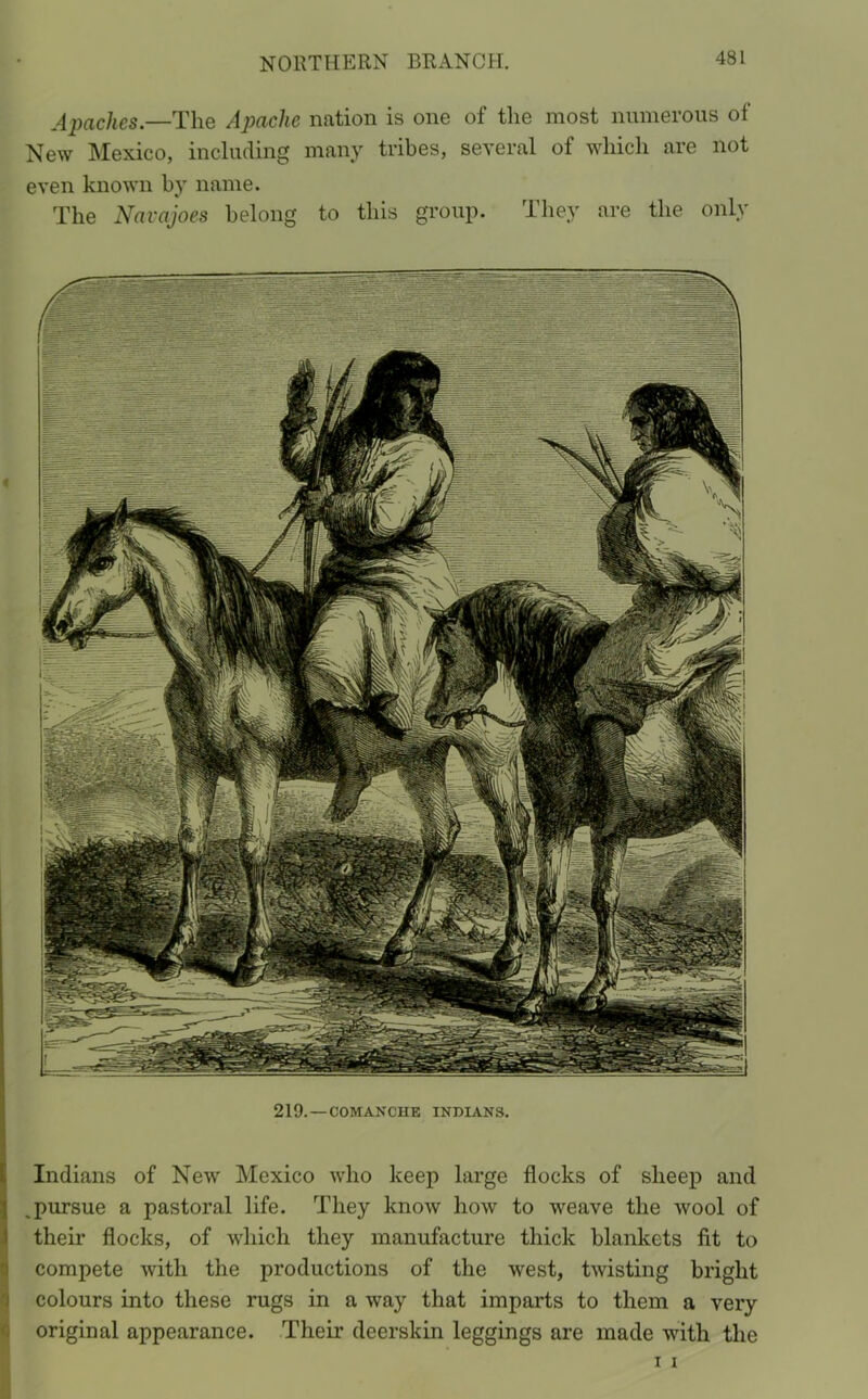 Apaches.—The Apache nation is one of the most numerous of New Mexico, including many tribes, several of which are not even known by name. The Navajoes belong to this group. They are the only < 219. —COMANCHK INDIANS. Indians of Newr Mexico who keep large flocks of sheep and „pursue a pastoral life. They know how to weave the wool of their flocks, of which they manufacture thick blankets fit to compete with the productions of the west, twisting bright colours into these rugs in a way that imparts to them a very original appearance. Their deerskin leggings are made with the