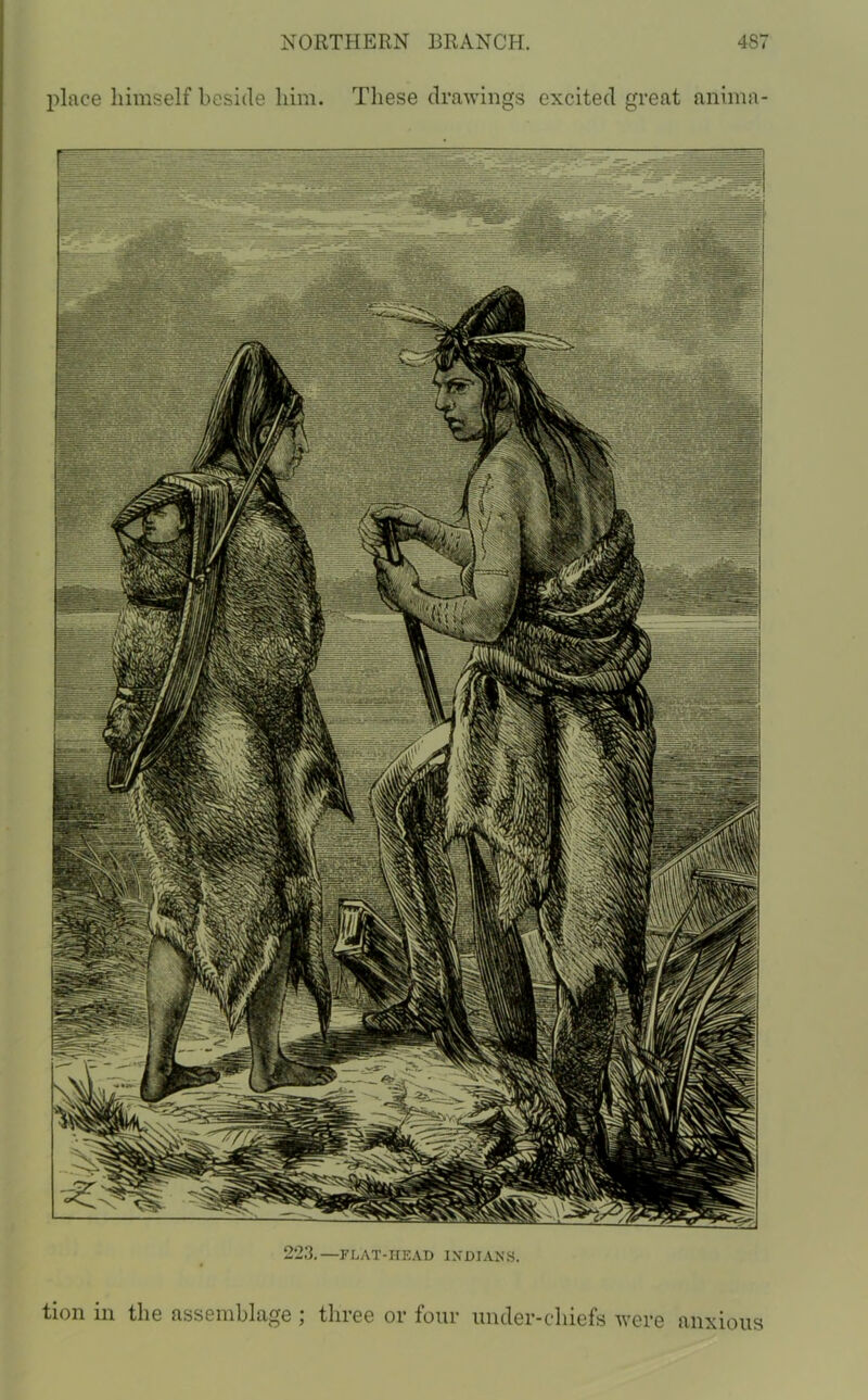 place himself beside him. These drawings excited great anima- 223.—FLAT-HEAD INDIANS. tion in the assemblage ; three or four under-chiefs were anxious