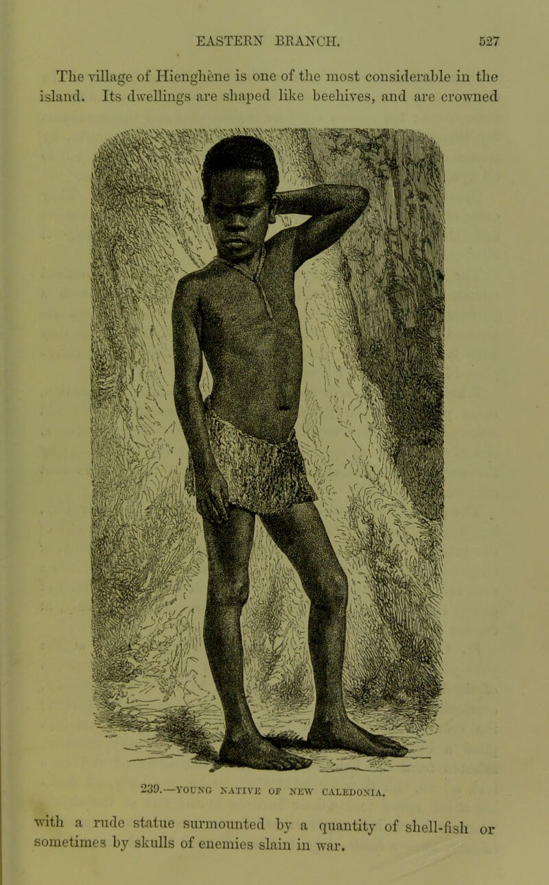 m/mt ihki nffifl! W01 MW The village of Hienghene is one of the most considerable in the island. Its dwellings are shaped like beehives, and are crowned 239.—YOUNG NATIVE OF NEW CALEDONIA. with a rude statue surmounted by a quantity of shell-fish sometimes by skulls of enemies slain in war. or