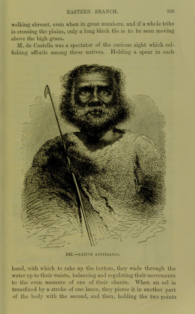 walking abreast, even when in great numbers, and if a whole tribe is crossing the plains, only a long black file is to be seen moving above the high grass. M. de Castella was a spectator of the curious sight which eel- fishing affords among these natives. Holding a spear in each 242. —NATIVE AUSTRALIAN. hand, with which to rake up the bottom, they wade through the water up to their waists, balancing and regulating their movements to the even measure of one of their chants. When an eel is transfixed by a stroke of one lance, they pierce it in another part of the body with the second, and then, holding the two points