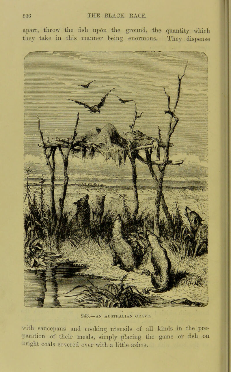 apart, throw the fish up6n the ground, the quantity which they take in this manner being enormous. They dispense 243. — AN AUSTRALIAN GRAVE. with saucepans and cooking utensils of all kinds in the pre- paration of their meals, simply placing the game or fish on bright coals covered over with a little ash?s.