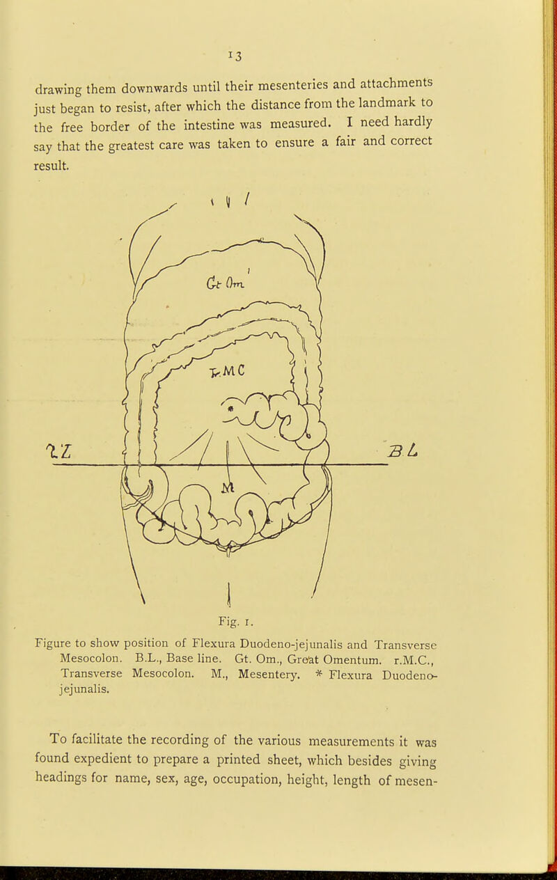 drawing them downwards until their mesenteries and attachments just began to resist, after which the distance from the landmark to the free border of the intestine was measured. I need hardly say that the greatest care was taken to ensure a fair and correct result. Fig. i. Figure to show position of Flexura Duodeno-jejunalis and Transverse Mesocolon. B.L., Base line. Gt. Om, Great Omentum. r.M.C, Transverse Mesocolon. M., Mesentery. * Flexura Duodeno- jejunalis. To facilitate the recording of the various measurements it was found expedient to prepare a printed sheet, which besides giving headings for name, sex, age, occupation, height, length of mesen-