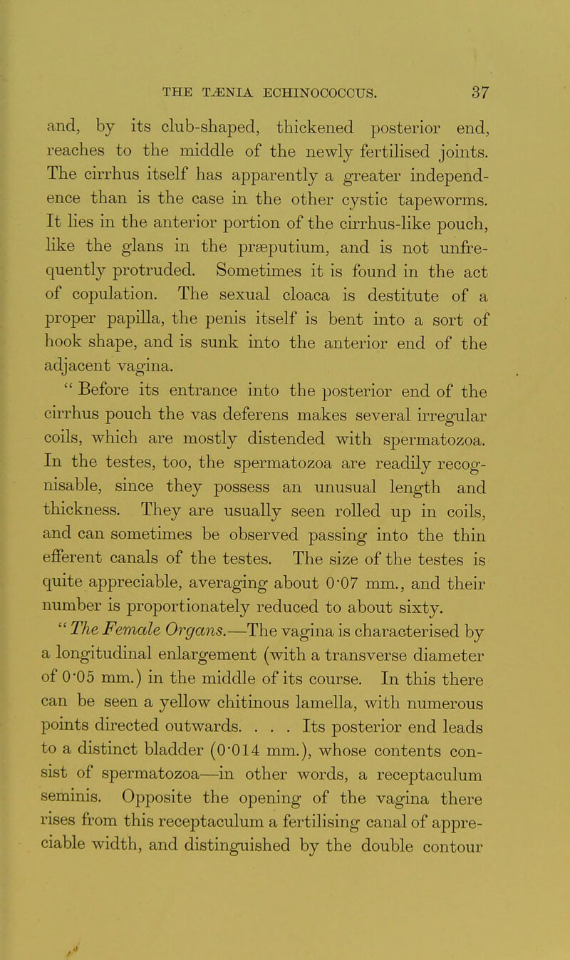 and, by its club-shaped, thickened posterior end, reaches to the middle of the newly fertilised joints. The cirrhus itself has apparently a greater independ- ence than is the case in the other cystic tapeworms. It lies in the anterior portion of the cirrhus-like pouch, like the glans in the prseputium, and is not unfre- quently protruded. Sometimes it is found in the act of copulation. The sexual cloaca is destitute of a proper papilla, the penis itself is bent into a sort of hook shape, and is sunk into the anterior end of the adjacent vagina.  Before its entrance into the posterior end of the cirrhus pouch the vas deferens makes several irregular coils, which are mostly distended with spermatozoa. In the testes, too, the spermatozoa are readily recog- nisable, since they possess an unusual length and thickness. They are usually seen roUed up in coils, and can sometimes be observed passing into the thin efferent canals of the testes. The size of the testes is quite appreciable, averaging about 0-07 mm., and their number is proportionately reduced to about sixty.  The Female Organs.—The vagina is characterised by a longitudinal enlargement (with a transverse diameter of 0-05 mm.) in the middle of its course. In this there can be seen a yellow chitinous lameUa, with numerous points directed outwards. ... Its posterior end leads to a distinct bladder (0-014 mm.), whose contents con- sist of spermatozoa—in other words, a receptaculum seminis. Opposite the opening of the vagina there rises from this receptaculum a fertilising canal of appre- ciable width, and distinguished by the double contour