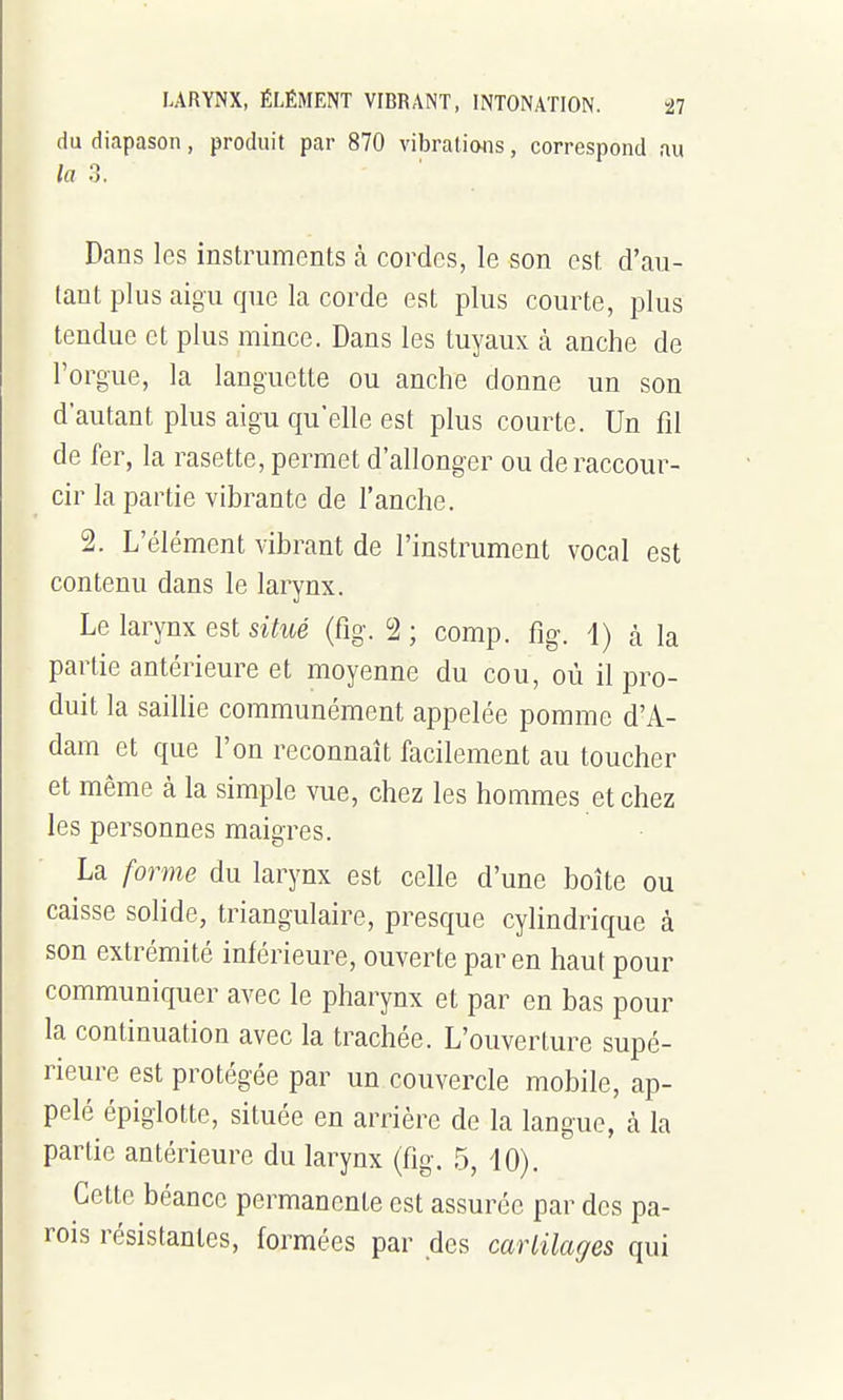 du diapason, produit par 870 vibrations, correspond au /« 3. Dans les instruments à cordes, le son est d'au- tant plus aigu que la corde est plus courte, plus tendue et plus mince. Dans les tuyaux à anche de l'oi^gue, la languette ou anche donne un son d'autant plus aigu qu'elle est plus courte. Un fil de fer, la rasette, permet d'allonger ou de raccour- cir la paiiie vibrante de l'anche. 2. L'élément vibrant de l'instrument vocal est contenu dans le larynx. Le larynx est siiMé (fîg. 2; comp. fig. 1) à la partie antérieure et moyenne du cou, où il pro- duit la saillie communément appelée pomme d'A- dam et que l'on reconnaît facilement au toucher et même à la simple vue, chez les hommes et chez les personnes maigres. La forme du larynx est celle d'une boîte ou caisse solide, ti^iangulaire, presque cylindrique à son extrémité inférieure, ouverte par en haut pour communiquer avec le pharynx et par en bas pour la continuation avec la trachée. L'ouverture supé- rieure est protégée par un couvercle mobile, ap- pelé épiglotte, située en arrière de la langue, à la partie antérieure du larynx (fig. 5, 10). Cette béance peiwnente est assurée par des pa- rois résistantes, formées par des cartilages qui