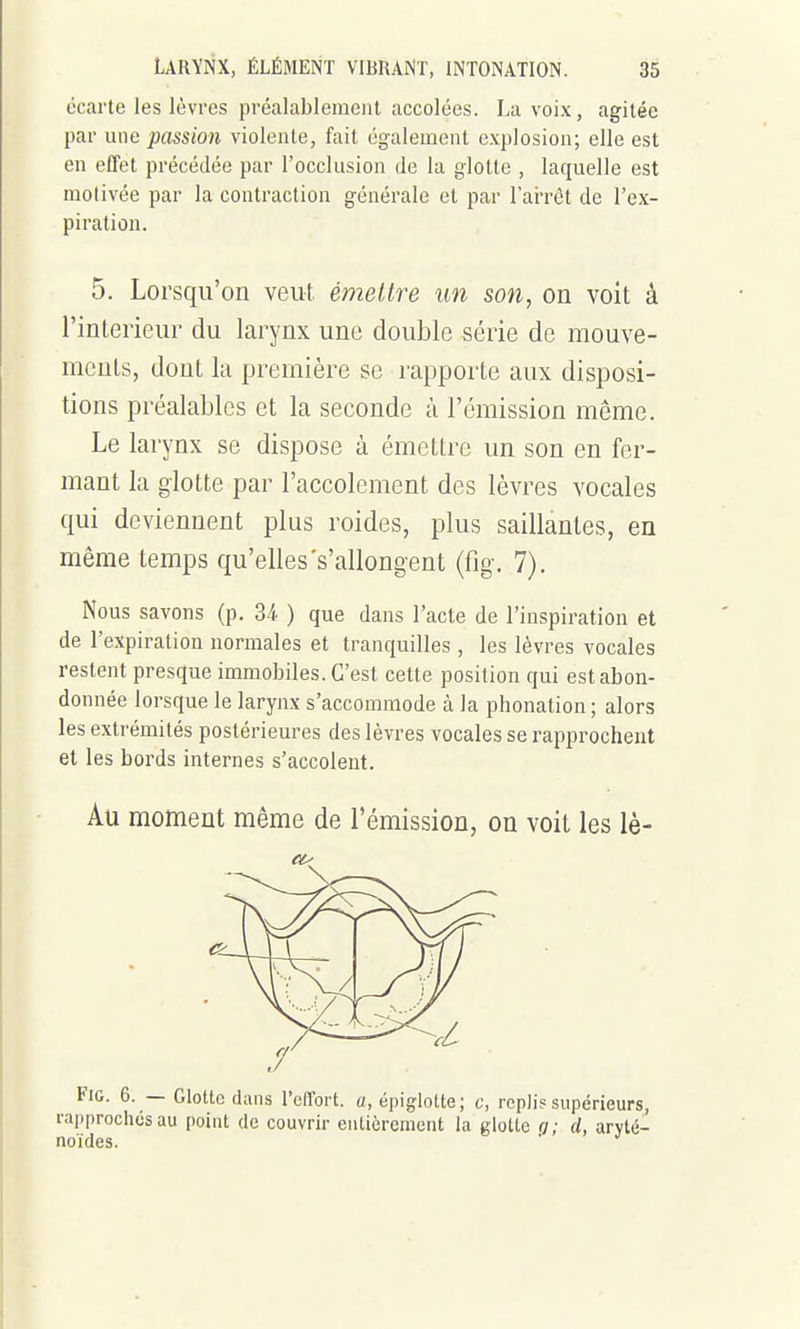 écarte les lèvres préalablement accolées. La voix, agitée par une passion violente, fait également explosion; elle est en effet précédée par l'occlusion de la glotte , laquelle est molivée par la contraction générale et par l'arrêt de l'ex- piration. 5. Lorsqu'on veut émettre un son, on voit à l'intérieur du larynx une double série de mouve- ments, dont kl première se rapporte aux disposi- tions préalables et la seconde à l'émission même. Le larynx se dispose à émettre un son en fer- mant la glotte par l'accolement des lèvres vocales qui deviennent plus roides, plus saillantes, en même temps qu'elles's'allong ent (fig. 7). Nous savons (p. 3/i. ) que dans l'acte de l'inspiration et de l'expiration normales et tranquilles, les lèvres vocales restent presque immobiles. C'est cette position qui estabon- donnée lorsque le larynx s'accommode à la phonation ; alors les extrémités postérieures des lèvres vocales se rapprochent et les bords internes s'accolent. Au moment même de l'émission, on voit les lè- rapprochiis au point de couvrir eiilièremeiit la glotte n; d, aryté-