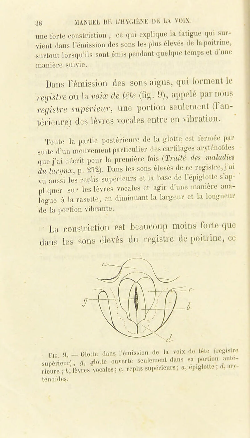une forte conslrictiou , ce qui explique la fatigue qui sur- vient dans l'émission des sons les plus élevés de la poitrine, surtout lorsqu'ils sont émis pendant (jnelque temps et d'une manière suivie. Dans l'émission des sons aigus, qui forment le registre ou Isivoix de tête (fig. 9), appelé par nous re(jistre supérieur, une portion seulement (l'an- téricure) des lèvres vocales entre en vibration. Toute la partie postérieure de la glotte est fermée par suite d'un mouvement particulier des cartilages arylénoïdes ,iue j'ai décrit pour la première fois {Traité des maladies du larijnx, p. 272). Dans les sons élevés de ce registre, j'ai vu aussi les replis supérieurs et la base de l'épiglolle s'ap- pli(iuer sur les lèvres vocales et agir d'une manière ana- logue à la rasette, en diminuant la largeur et la longueur de la portion vibrante. La constrictiou est beaucoup moins forte que dans les sons élevés du registre de poitrine, ce l<i(;. y. — Glotte clans rémission de la voix d« Idto {va. slro snncncuD ; q, gloUc ouverte scidenient dans sa portion ante- Helux-Ï^cvJ^s vocales; c, replis supérieurs; a, ép.glolte; rf,ary- ténoïdes.
