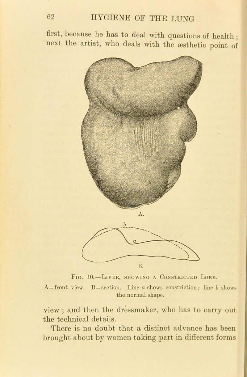 first, because he has to deal with questions of health; next the artist, who deals with the aesthetic point of Fig. 10.—Liver, showing a Constricted Lobe. A = front view. Bisection. Line a shows constriction; line b shows the normal shape. view ; and then the dressmaker, who has to carry out the technical details. There is no doubt that a distinct advance has been brought about by women taking part in different forms