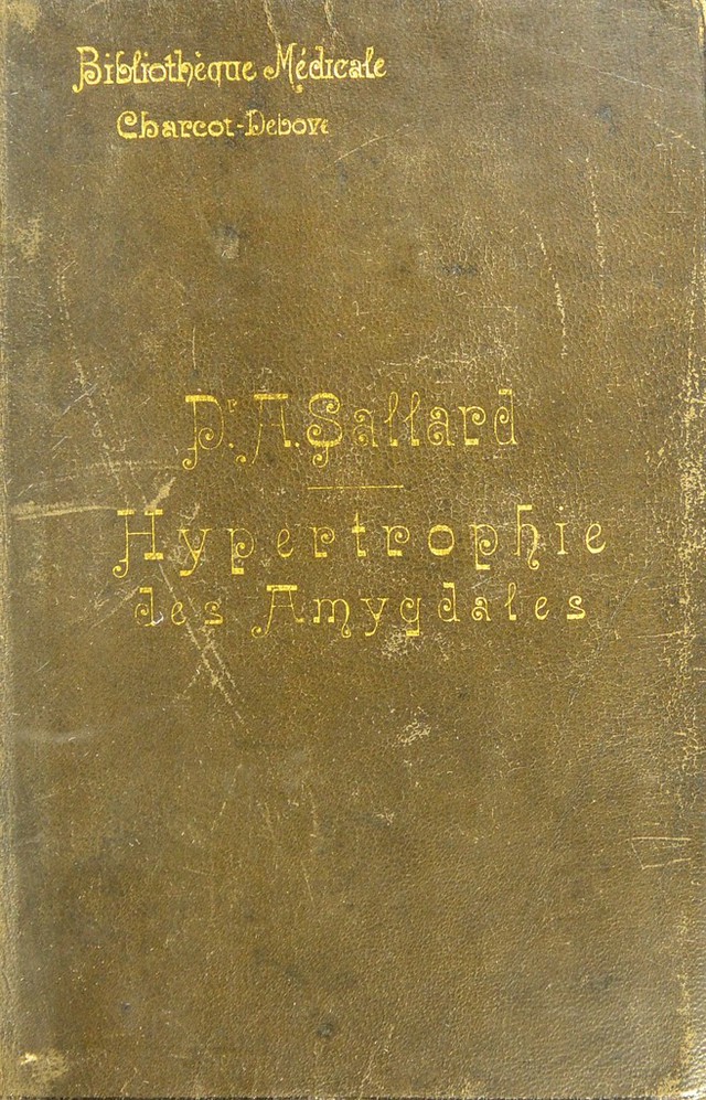 digitised image 1