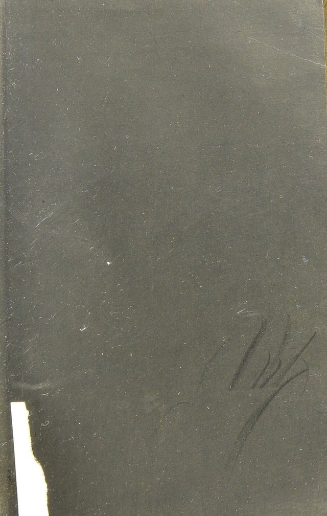 digitised image 3