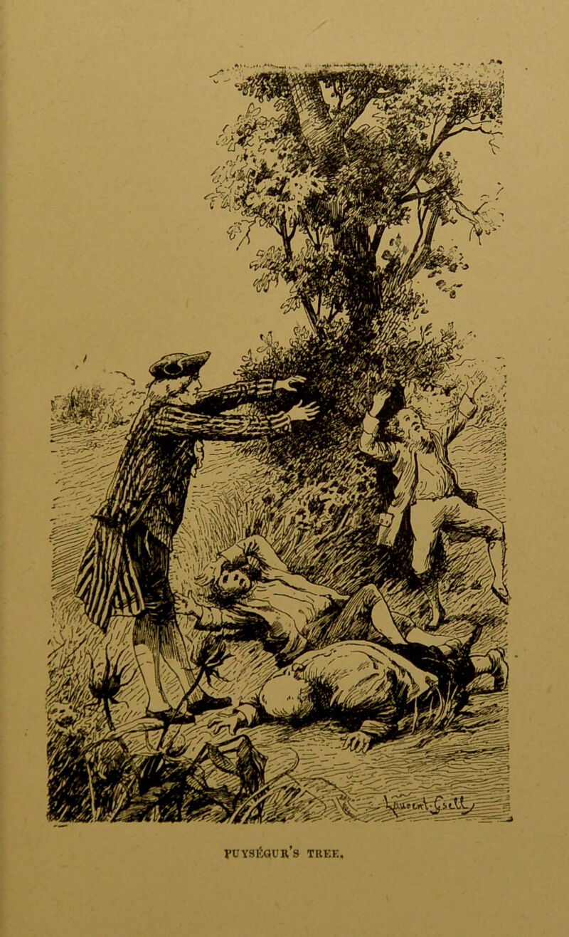 VUYSEGURS TREE