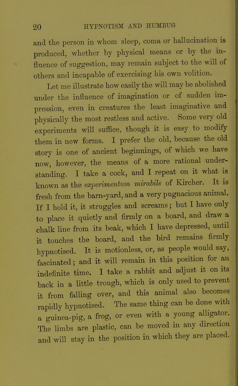 and the person in whom sleep, coma or hallucination is produced, whether by physical means or by the in- fluence of suggestion, may remain subject to the will of others and incapable of exercising his own volition. Let me illustrate how easily the will may be abolished under the influence of imagination or of sudden im- pression, even in creatures the least imaginative and physically the most restless and active. Some very old experiments will suffice, though it is easy to modify them in new forms. I prefer the old, because the old story is one of ancient beginnings, of which we have now, however, the means of a more rational under- standing. I take a cock, and I repeat on it what is known as the experimentum mirabile of Kircher. It is fresh from the barn-yard, and a very pugnacious animal. If I hold it, it struggles and screams; but I have only to place it quietly and firmly on a board, and draw a chalk line from its beak, which I have depressed, until it touches the board, and the bird remains firmly hypnotised. It is motionless, or, as people would say, fascinated; and it will remain in this position for an indefinite time. I take a rabbit and adjust it on its back in a little trough, which is only used to prevent it from falling over, and this animal also becomes rapidly hypnotised. The same thing can be done with a guinea-pig, a frog, or even with a young alligator. The limbs are plastic, can be moved in any direction and will stay in the position in which they are placed.