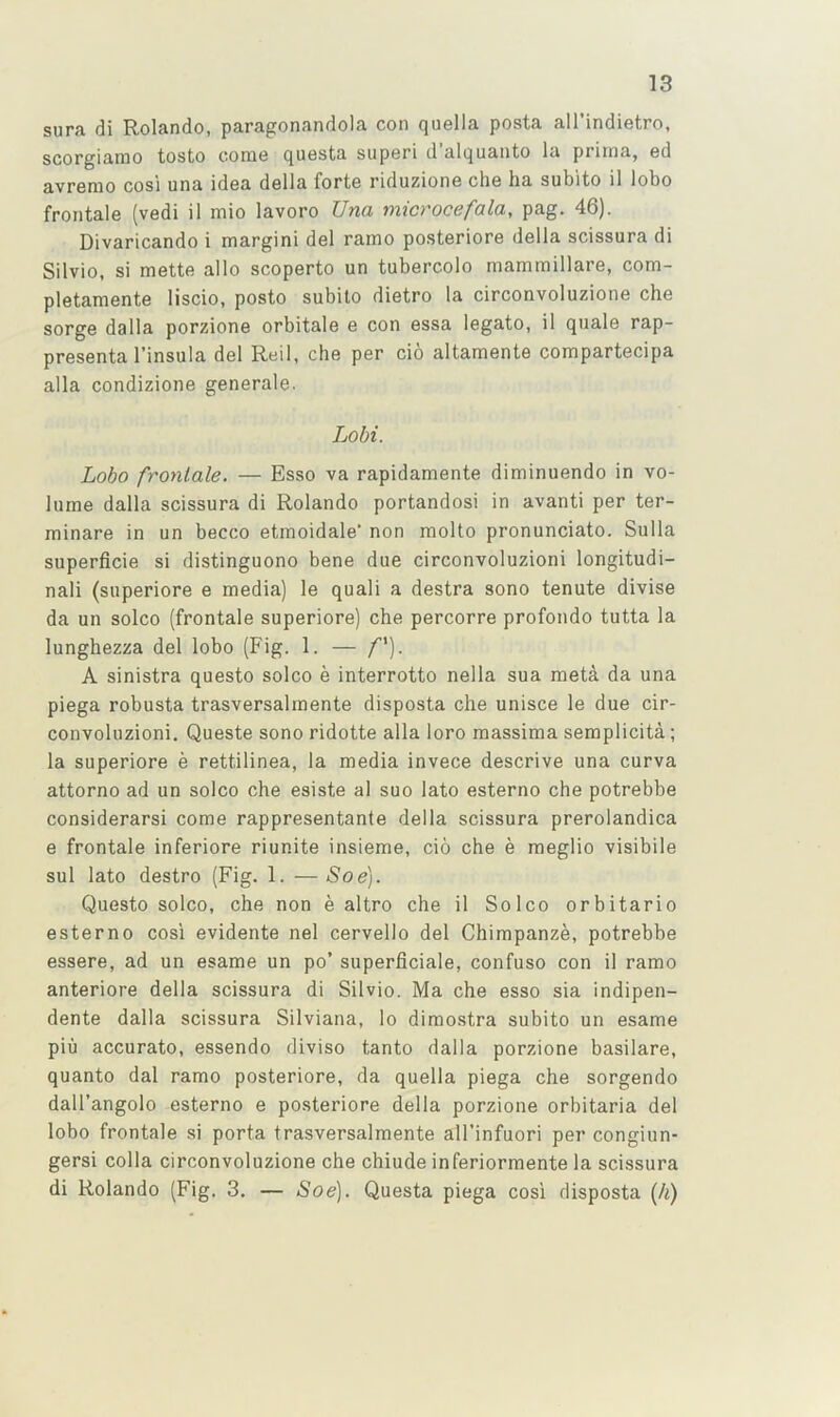 sura di Rolando, paragonandola con quella posta all’indietro, scorgiamo tosto come questa super! d’alquanto la prima, ed avremo cosi una idea della forte riduzione che ha subito 11 lobo frontale (vedi 11 mio lavoro Una microcefala, pag. 46). Divaricando i margin! del ramo posteriore della scissura di Silvio, si mette alio scoperto un tubercolo mammillare, com- pletamente liscio, posto subito dietro la circonvoluzione che sorge dalla porzione orbitale e con essa legato, il quale rap- presenta I’insula del Reil, che per cio altamente compartecipa alia condizione generale. Lobi. Lobo frontale. — Esso va rapidamente diminuendo in vo- lume dalla scissura di Rolando portandosi in avanti per ter- minare in un becco etmoidale' non molto pronunciato. Sulla superficie si distinguono bene due circonvoluzioni longitudi- nal! (superiore e media) le quali a destra sono tenute divise da un solco (frontale superiore) che percorre profondo tutta la lunghezza del lobo (Fig. 1. — /’’). A sinistra questo solco e interrotto nella sua meta da una piega robusta trasversalraente disposta che unisce le due cir- convoluzioni. Queste sono ridotte alia loro massima semplicita; la superiore e rettilinea, la media invece descrive una curva attorno ad un solco che esiste al suo lato esterno che potrebbe considerarsi come rappresentante della scissura prerolandica e frontale inferiore riunite insieme, cio che e raeglio visibile sul lato destro (Fig. 1. —Soe). Questo solco, che non e altro che il Solco orbitario esterno cosi evidente nel cervello del Chimpanze, potrebbe essere, ad un esame un po’ superficiale, confuse con il ramo anteriore della scissura di Silvio. Ma che esso sia indipen- dente dalla scissura Silviana, lo dimostra subito un esame piu accurate, essendo diviso tanto dalla porzione basilare, quanto dal ramo posteriore, da quella piega che sorgendo dall’angolo esterno e posteriore della porzione orbitaria del lobo frontale si porta trasversalraente all’infuori per congiun- gersi colla circonvoluzione che chiude inferiormente la scissura di Rolando (Fig. 3. — Soe). Questa piega cosi disposta {h)