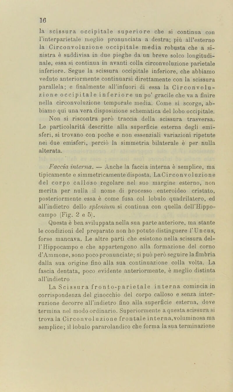 la scissura occipitale superiore che si continua con I’interparietale lueglio pronunciata a destra; piu all’esterno la Circonvoluzione occipitale media robusta che a si- nistra e suddivisa in due pieghe da un breve solco longitudi- nale, essa si continua in avanti colla circonvoluzione parietale inferiore. Segue la scissura occipitale inferiore, che abbiamo veduto anteriormente continuarsi direttamente con la scissura parallela; e finalmente all’infuori di essa la Circonvolu- zione occipital e inferiore un po’ gracile che va a finire nella circonvoluzione temporale media. Come si scorge, ab- biamo qui una vera disposizione schematica del lobo occipitale. Non si riscontra pero traccia della scissura trasversa. Le particolarita descritte alia superficie esterna degli emi- sferi, si trovano con poche e non essenziali variazioni ripetute nei due emisferi, percio la simmetria bilaterale e per nulla alterata. Faccia interna. — Anche la faccia interna e semplice, ma tipicamente e simmetricamentedisposta. LaCirconvoluzione del corpo calloso regolare nel suo margine esterno, non merita per nulla il nome di processo enteroideo cristato, posteriormente essa e come fusa col lobulo quadrilatero, ed all’indietro dello spleniwn si continua con quella dell’Hippo- campo (Fig. 2 e 5). Quests e ben sviluppata nella sua parte anteriore, ma stante le condizioni del preparato non ho potuto distinguere 1’Uncus, forse mancava, Le altre parti che esistono nella scissura del- I’Hippocampo e che appartengono alia formazione del corno d’Ammone, sono poco pronunciate; si puo pero seguire la fimbria dalla sua origine fino alia sua continuazione colla volta. La fascia dentata, poco evidente anteriormente, e meglio distinta all’indietro La Scissura fr o n t o-p a r i e tal e interna comincia in corrispondenza del ginocchio del corpo calloso e senza inter- ruzione decorre all'indietro fino alia superficie esterna, dove termina nel modo ordinario. Superiorniente a quests scissura si trova la Circonvoluzione frontale interna,voluminosa ma semplice; il lobulo pararolandico che forma la sua terminazione