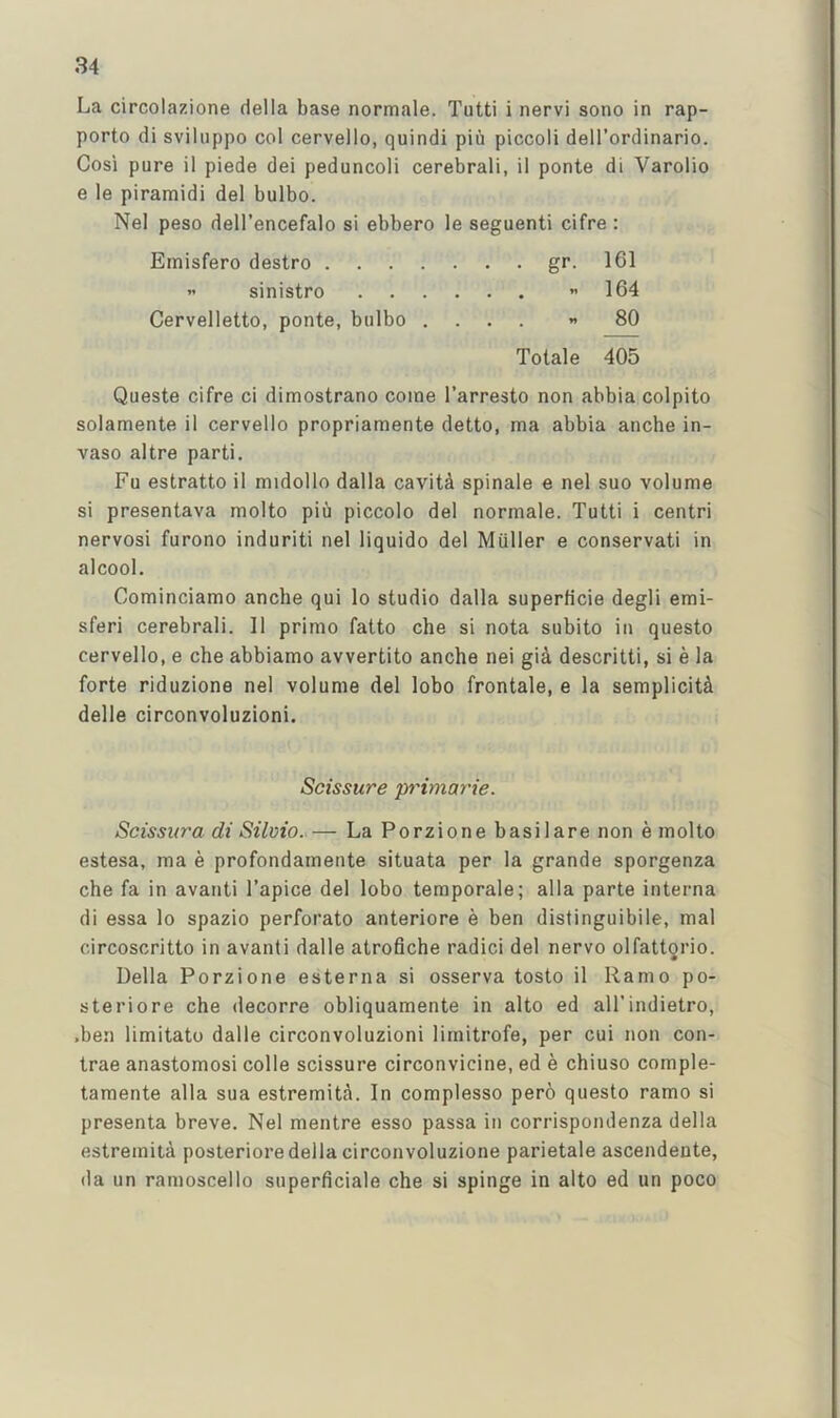 La circolazione della base normale. Tutti i nervi sono in rap- porto di sviluppo col cervello, quindi pin piccoli dell’ordinario. Cosi pure il piede dei peduncoli cerebrali, il ponte di Varolio e le piramidi del bulbo. Nel peso dell’encefalo si ebbero le seguenti cifre : Emisfero destro gr. 161 ” sinistro 164 Cervelletto, ponte, bulbo .... - 80 Totale 405 Queste cifre ci dimostrano come I’arresto non abbia colpito solamente il cervello propriamente detto, ma abbia ancbe in- vaso altre parti. Fu estratto il midollo dalla cavity spinale e nel suo volume si presentava molto piu piccolo del normale. Tutti i centri nervosi furono induriti nel liquido del Muller e conservati in alcool. Cominciamo ancbe qui lo studio dalla superficie degli emi- sferi cerebrali. 11 prime fatto che si nota subito in questo cervello, e che abbiamo avvertito anche nei gi4 descritti, si e la forte riduzione nel volume del lobo frontale, e la semplicit^ delle circonvoluzioni. Scissure primarie. Seissura di Silvio. — La Porzione basilare non e molto estesa, ma e profondamente situata per la grande sporgenza che fa in avanti I’apice del lobo temporale; alia parte interna di essa lo spazio perforate anteriore e ben distinguibile, mal circoscritto in avanti dalle atrofiche radici del nervo olfatt^rio. Della Porzione esterna si osserva tosto il Ramo po- steriore che decorre obliquamente in alto ed all’indietro, .ben limitato dalle circonvoluzioni limitrofe, per cui non con- trae anastomosi colle scissure circonvicine, ed e chiuso comple- tamente alia sua estremita. In complesso pero questo ramo si presenta breve. Nel mentre esso passa in corrispondenza della estremita posteriore della circonvoluzione parietale ascendente, da un ramoscello superficiale che si spinge in alto ed un poco