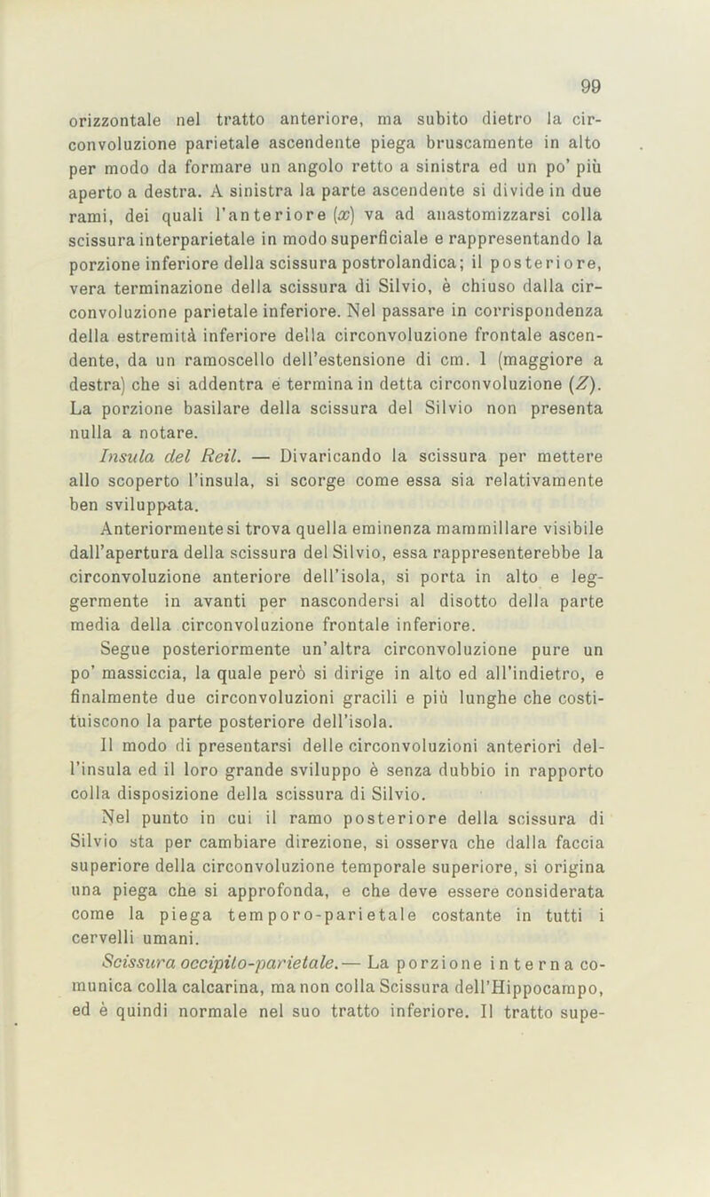 orizzontale nel tratto anteriore, ma subito dietro la cir- convoluzione parietale ascendente piega bruscamente in alto per modo da formare un angolo retto a sinistra ed un po’ piii aperto a destra. A sinistra la parte ascendente si divide in due rami, dei quali I’anteriore (a?) va ad anastoraizzarsi colla scissura interparietale in modo superficiale e rappresentando la porzione inferiore della scissura postrolandica; il posteriore, vera terminazione della scissura di Silvio, e chiuso dalla cir- convoluzione parietale inferiore. Nel passare in corrispondenza della estremitd inferiore della circonvoluzione frontale ascen- dente, da un ramoscello dell’estensione di cm. 1 (maggiore a destra) che si addentra e terrainain detta circonvoluzione {Z). La porzione basilare della scissura del Silvio non presenta nulla a notare. Insula del Reil. — Divaricando la scissura per mettere alio scoperto I’insula, si scorge come essa sia relativamente ben sviluppata. Anteriormeutesi trova quella eminenza mamrnillare visibile dall’apertura della scissura del Silvio, essa rappresenterebbe la circonvoluzione anteriore dell’isola, si porta in alto e leg- germente in avanti per nascondersi al disotto della parte media della circonvoluzione frontale inferiore. Segue posteriormente un’altra circonvoluzione pure un po’ massiccia, la quale per6 si dirige in alto ed all’indietro, e finalmente due circonvoluzioni gracili e piu lunghe che costi- tuiscono la parte posteriore dell’isola. II modo di presentarsi delle circonvoluzioni anterior! del- I’insula ed il loro grande sviluppo e senza dubbio in rapporto colla disposizione della scissura di Silvio. Nel punto in cui il ramo posteriore della scissura di Silvio sta per cambiare direzione, si osserva che dalla faccia superiore della circonvoluzione temporale superiore, si origina una piega che si approfonda, e che deve essere considerata come la piega tern por o-pari etale costante in tutti i cervelli umani. Scissura occipilo-parietale. — La porzione interna co- munica colla calcarina, ma non colla Scissura dell’Hippocampo, ed e quindi normale nel suo tratto inferiore. Il tratto supe-