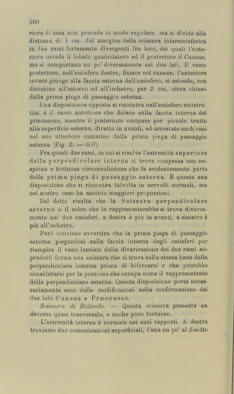 riore di essa non precede in modo regolare, raa si divide alia distanza di 1 cm. dal margine della scissura interemisferica in due rami fortemente divergenti fra loro, dei quali I’ante- riore invade il lobulo quadrilatero ed il posteriore il Cuneus, ma si comportano un po’ diversamente sui due lati. Il ramo posteriore, nell’emisfero destro, finisce nel cuneus, I’anteriore invece giunge alia faccia esterna dell’emisfero, si estende, con direzione all’esterno ed all’indietro, per 2 cm. circa chiuso dalla prima piega di passaggio esterna. Una disposizione opposta si riscontra nell’emisfero sinistro. Qui 6 il ramo anteriore che finisce sulla faccia interna del prsecuneus, mentre il posteriore conipare per piccolo tratto alia superficie esterna, diretto in avanti, ed arrestato anch’esso nel suo ulteriore cammino dalla prima piega di passaggio esterna (Fig. 2. — OP). Fra questi due rami, in cui si risolve I’estremitd superio re della p erpend i colare interna si trova comppesa una co- spicua e tortuosa circonvoluzione che fa evidentemente parte della prima piega di passaggio esterna. E questa una disposizione che si riscontra talvolta in cervelli norraali, ma nel nostro caso ha assunto maggiori proporzioni. Dal detto risulta che la Scissura perpendicolare esterna o il solco che la rappresenterebbe si trova diversa- mente nei due emisferi, a destra e piu in avanti, a sinistra e pill all’indietro. Pero conviene avvertire che la prima piega di passaggio esterna piegandosi sulla faccia interna degli emisferi per riempire il vano lasciato dalla divaricazione dei due rami so- pradetti forma una scissura che si trova sulla stessa linea della perpendicolare interna prima di biforcarsi e che potrebbe considerarsi per la porzione che occupa come il rappresentante della perpendicolare esterna. Questa disposizione porta neces- sariamente seco delle modificazioni nella oonformazione dei due lobi Cuneus e Prsecuneus. Scissura di Rolando. — Questa scissura presenla un decorso quasi trasversale, e anche poco tortuoso. L’estremiti interna e normale nei suoi rapporti. A destra troviamo due comunicazioni superficiali, I’una un po’ al disotto