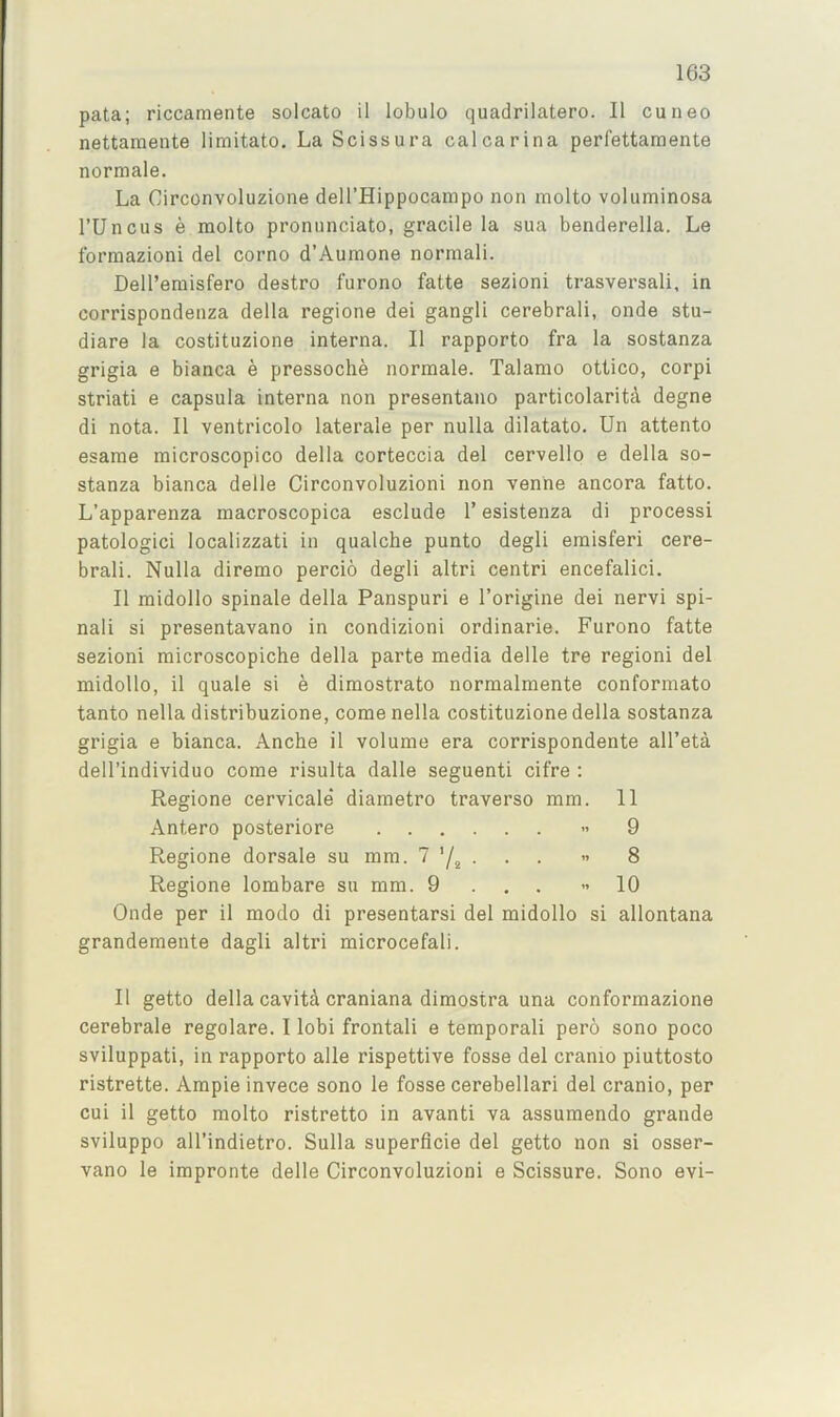 pata; riccamente solcato il lobulo quadrilatero. II cuneo nettaraente limitato. La Scissura calcarina perfettamente norniale. La Circonvoluzione deH’Hippocampo non molto voluminosa rUncus e molto pronunciato, gracile la sua benderella. Le formazioni del corno d’Aumone normal!. Dell’emisfero destro furono fatte sezioni trasversali, in corrispondenza della regione dei gangli cerebrali, onde stu- diare la costituzione interna. II rapporto fra la sostanza grigia e bianca e pressoclie normale. Talamo ottico, corpi striati e capsula interna non presentano particolarita degne di nota. II ventricolo laterale per nulla dilatato. Un attento esame microscopico della corteccia del cervello e della so- stanza bianca delle Circonvoluzioni non venhe ancora fatto. L’apparenza macroscopica esclude 1’ esistenza di processi patologici localizzati in qualche punto degli emisferi cere- brali. Nulla diremo percio degli altri centri encefalici. II midollo spinale della Panspuri e I’origine dei nervi spi- nali si presentavano in condizioni ordinarie. Furono fatte sezioni microscopiche della parte media delle tre region! del midollo, il quale si e dimostrato normalmente conformato tanto nella distribuzione, comenella costituzione della sostanza grigia e bianca. Anche il volume era corrispondente all’eta dell’individuo come risulta dalle seguenti cifre : Regione cervicale diametro traverse mm. 11 Antero posteriore « 9 Regione dorsale su mm. 7 Y2 • • • ” 8 Regione lombare su mm. 9 . , . ”10 Onde per il modo di presentarsi del midollo si allontana grandemente dagli altri microcefali. Il getto della cavitd craniana dimostra una conformazione cerebrale regolare. I lobi frontal! e temporal! pero sono poco sviluppati, in rapporto alle rispettive fosse del cranio piuttosto ristrette. Ample invece sono le fosse cerebellar! del cranio, per cui il getto molto ristretto in avanti va assumendo grande sviluppo all’indietro. Sulla superflcie del getto non si osser- vano le impronte delle Circonvoluzioni e Scissure. Sono evi-