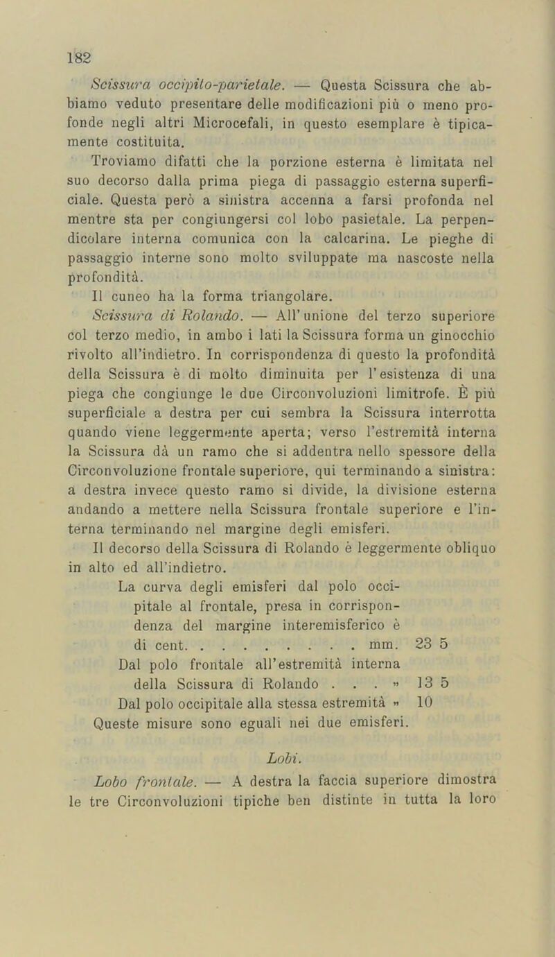 Scissura occipito-parietale. — Questa Scissura che ab- biamo veduto presentare delle modificazioni piu o meno pro- fonde negli altri Microcefali, in questo esemplare e tipica- mente costituita. Troviamo difatti che la porzione esterna e limitata nel suo decorso dalla prima piega di passaggio esterna superfi- ciale. Questa pero a sinistra accenna a farsi profonda nel mentre sta per congiungersi col lobo pasietale. La perpen- dicolare interna comunica con la calcarina. Le pieghe di passaggio interne sono raolto sviluppate raa nascoste nella profondita. II cuneo ha la forma triangolare. Scissura di Rolando. — All’ iinione del terzo superiore col terzo medio, in arabo i lati la Scissura forma un ginocchio rivolto all’indietro. In corrispondenza di questo la profondita della Scissura e di molto diminuita per I’esistenza di una piega che congiunge le due Circonvoluzioni limitrofe. £l piu superficiale a destra per cui sembra la Scissura interrotta quando viene leggermente aperta; verso I’estremita interna la Scissura da un ramo che si addentra nello spessore della Circonvoluzione frontale superiore, qui terminando a sinistra: a destra invece questo ramo si divide, la divisione esterna andando a mettere nella Scissura frontale superiore e I’in- terna terminando nel margine degli emisferi. II decorso della Scissura di Rolando e leggermente obliquo in alto ed all’indietro. La curva degli emisferi dal polo occi- pitale al frontale, presa in corrispon- denza del margine interemisferico e di cent mm. 23 5 Dal polo frontale all’estremita interna della Scissura di Rolando . . . « 13 5 Dal polo occipitale alia stessa estremita « 10 Queste misure sono eguali nei due emisferi. Lobi. Lobo frontale. — A destra la faccia superiore dimostra le tre Circonvoluzioni tipiche ben distinte in tutta la loro