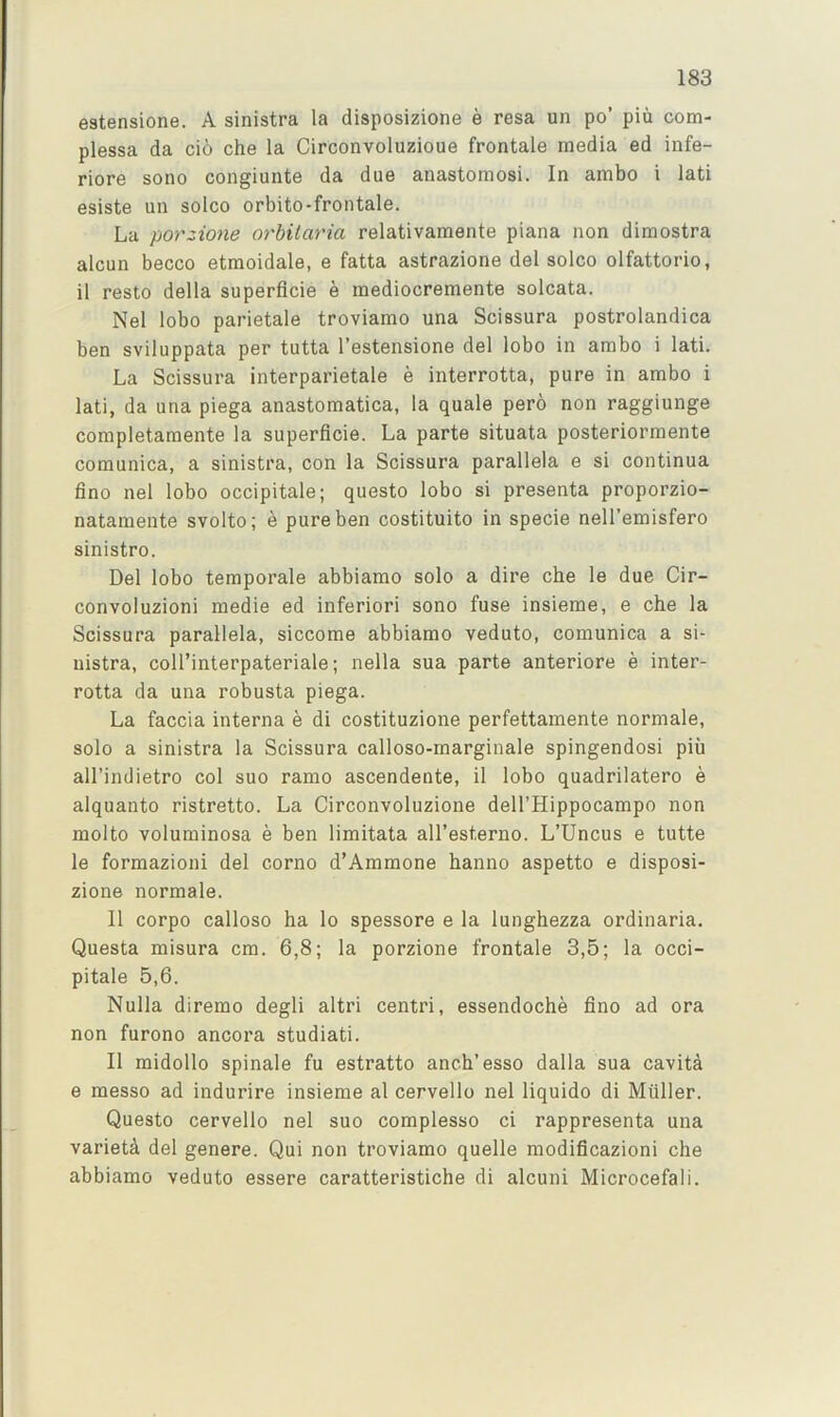 eatensione. A sinistra la disposizione e resa un po’ piu com- plessa da cio che la Circonvoluzioue frontale media ed infe- riore sono congiunte da due anastomosi. In ambo i lati esiste un solco orbito-frontale. La porzione orbitaria relativaraente piana non dimostra alcun becco etmoidale, e fatta astrazione del solco olfattorio, il resto della superficie e mediocremente solcata. Nel lobo parietale troviamo una Scissura postrolandica ben sviluppata per tutta I’estensione del lobo in ambo i lati. La Scissura interparietale e interrotta, pure in ambo i lati, da una piega anastomatica, la quale pero non raggiunge completaraente la superficie. La parte situata posteriormente comunica, a sinistra, con la Scissura parallela e si continua fino nel lobo occipitale; questo lobo si presenta proporzio- nataraente svolto; e pure ben costituito in specie nell’emisfero sinistro. Del lobo temporale abbiamo solo a dire che le due Cir- convoluzioni medie ed inferiori sono fuse insieme, e che la Scissura parallela, siccome abbiamo veduto, comunica a si- nistra, coll’interpateriale; nella sua parte anteriore e inter- rotta da una robusta piega. La faccia interna e di costituzione perfettamente normale, solo a sinistra la Scissura calloso-rnarginale spingendosi piii all’indietro col suo ramo ascendente, il lobo quadrilatero e alquanto ristretto. La Circonvoluzioue dell’Hippocampo non molto voluminosa e ben limitata all’esterno. L’Uncus e tutte le formazioni del corno d’Ammone banno aspetto e disposi- zione normale. Il corpo calloso ha lo spessore e la lunghezza ordinaria. Questa misura cm. 6,8; la porzione frontale 3,5; la occi- pitale 5,6. Nulla diremo degli altri centri, essendoche fino ad ora non furono ancora studiati. Il midollo spinale fu estratto anch’esso dalla sua cavita e messo ad indurire insieme al cervello nel liquido di Muller. Questo cervello nel suo complesso ci rappresenta una varietA del genere. Qui non troviamo quelle modificazioni che abbiamo veduto essere caratteristiche di alcuni Microcefali.