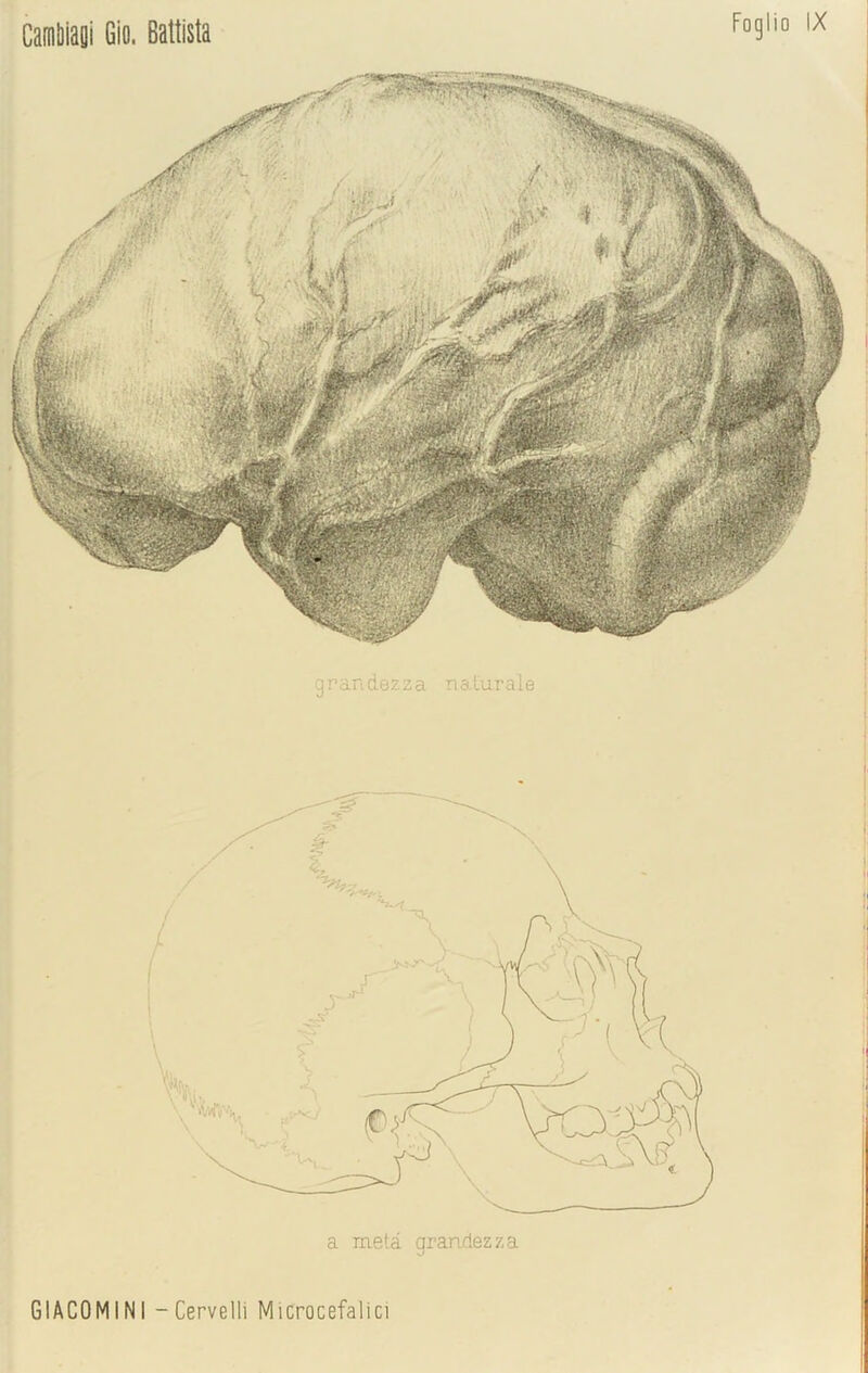 Camliiaoi Gio. Battista