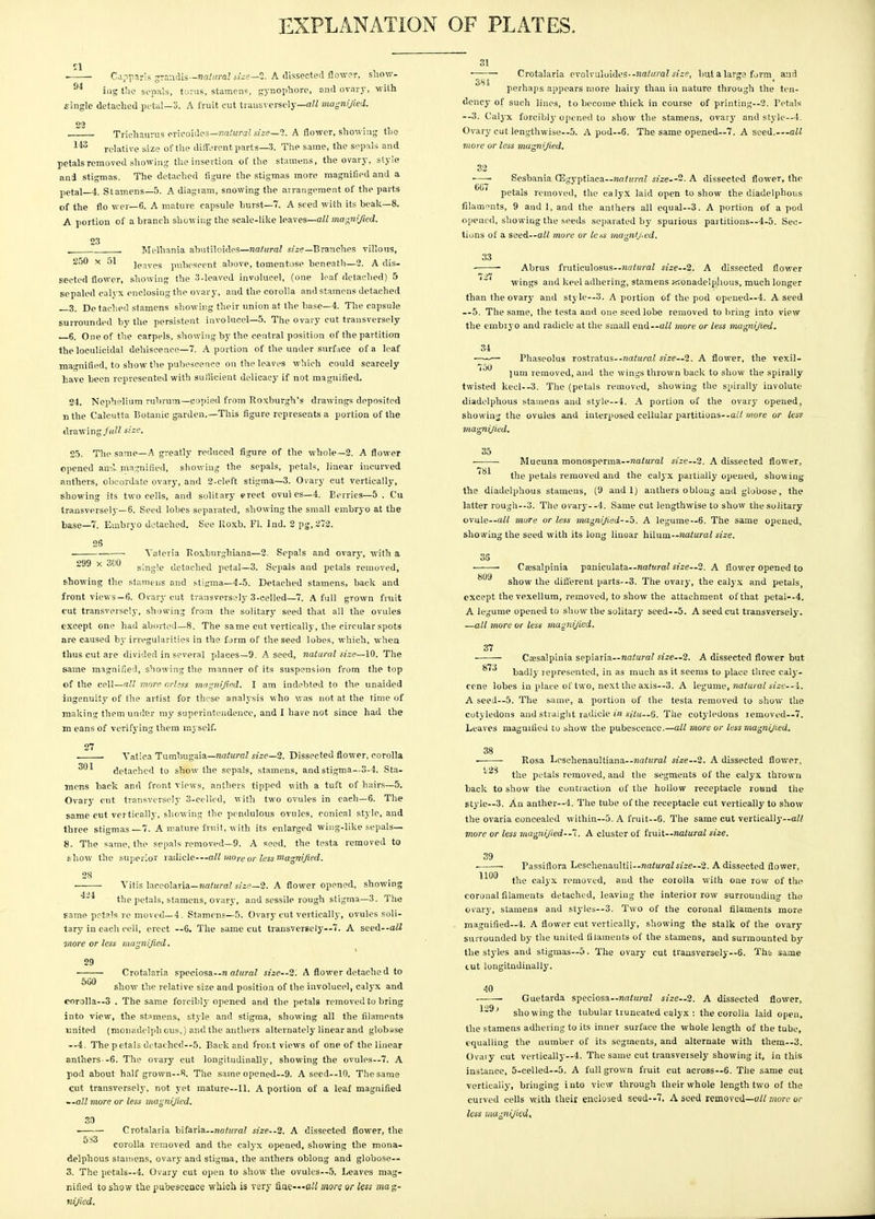 EXPLANATION OF PLATES. ■ Camparis grandis—natural size—2. A dissected flower, show- 94 iug the sepals, torus, stamens, gynophore, and ovary, with single detached petal-3. A fruit cut transversely—all magnified. 22 . Trichaurus erieoides—natural size—2. A flower, showing the 143 relative size of the different parts—3. The same, the sepals and petals removed showing the insertion of the stamens, the ovary, style and stigmas. The detached figure the stigmas more magnified and a petal—4. Stamens—5. A diagram, snowing the arrangement of the parts of the flo wer— G. A mature capsule burst—7. A seed with its beak—8. A portion of a branch showing the scale-like leaves—all magnified. 23 . Melhania abutiloides—natural size— Branches villous, 250 x 51 ieaves pubescent above, tomentose beneath—2. A dis- sected flower, showing the 3-leaved involucel, (one leaf detached) 5 sepaled calyx enclosing the ovary, and the corolla and stamens detached —3. De tacbed stamens showing their union at the base—4. The capsule surrounded by the persistent involucel—5. The ovary cut transversely 6. One of the carpels, showing by the central position of the partition the loculicidal dehiscence—7. A portion of the under surface of a leaf magnified, to show the pubescence on the leaves which could scarcely have been represented with sufficient delicacy if not magnified. 24. Nephelium rubrum— copied from Roxburgh's drawings deposited nthe Calcutta Botanic garden.—This figure represents a portion of the drawing full size. 25. The same—A greatly reduced figure of the whole—2. A flower opened airi magnified, showing the sepals, petals, linear incurved anthers, obcordate ovary, and 2-cleft stigma—3. Ovary cut vertically, showing its two cells, and solitary erect ovul es—4. Berries—5 . Cu transversely—6. Seed lobes separated, showing the small embryo at the base—7. Embryo detached. See iioxb. Fl. Ind. 2 pg, 272. Yateria Roxburghiana—2. Sepals and ovary, with a single detached petal—3. Sepals and petals removed, showing the stamens and stigma—4-5. Detached stamens, back and front views—6. Ovary cut transversely 3-celled—7. A full grown fruit cut transversely, showing from the solitary seed that all the ovules except one had aborted—8. The same cut vertically, the circular spots are caused by irregularities in the fjrm of the seed lobes, which, when thus cut are divided in several places—9. A seed, natural size—10. The same magnified, showing the manner of its suspension from the top of the cell—all more nrhss magnified. I am indebted to the unaided ingenuity of the artist for these analysis who was not at the time of making them under my superintendence, and I have not since had the m eans of verifying them myself. 27 • Vatica Tumbugaia—natural size—2. Dissected flower, corolla detached to show the sepals, stamens, and stigma—3-4. Sta- mens back and front views, anthers tipped with a tuft of hairs—5. Ovary cut transversely 3-celled, with two ovules in each—6. The same cut vertically, showing the pendulous ovules, conical style, and three stigmas—7. A mature fruit, with its enlarged wing-like sepals— 8. The same, the sepals removed—9. A seed, the testa removed to show the superior radicle-— all more or less magnified. 28 Vitis laccolaria— natural size—2. A flower opened, showing 4'4 the petals, stamens, ovary, and sessile rough stigma—3. The same petals re moved—4. Stamens—5. Ovary cut vertically, ovules soli- tary in each cell, erect —6. The same cut transversely—7. A seed--ai£ wore or less magnified. 29 ■ Crotalaria speciosa—n atitral size—2. A flower detached to ^ show the relative size and position of the involucel, calyx and cnrolla--3 . The same forcibly opened and the petals removed to bring into view, the stamens, style and stigma, showing all the filaments united (momulclph ous,) and the anthers alternately linear and globsse —4. The p etals detached—5. Back and front views of one of the linear anthers.-6. The ovary cut longitudinally, showing the ovules—7. A pod about half grown—8. The same opened—9. A seed—10. Thesame cut transversely, not yet mature—11. A portion of a leaf magnified --all more or less magnified. 30 Crotalaria bifaria—natural size—2. A dissected flower, the 5^3 corolla removed and the calyx opened, showing the mona- delphous stamens, ovary and stigma, the anthers oblong and globose— 3. The petals—4. Ovary cut open to show the ovules—5. Leaves mag- nified to show the pubescence which is very fine---all more or less mag- nified. 31 ■ Crotalaria eroIruloideS--Ba<ura!I size, but a large form and 384 ' perhaps appears more hairy than in nature through the ten- dency of such lines, to become thick in course of printing—2. Petals --3. Calyx forcibly opened to show the stamens, ovary and style—4. Ovary cut lengthwise—5. A pod—6. The same opened—7. A seed.—all more or less magnified. 32 tiG7 Sesbania CEgyptiaca—natural size—- A dissected flower, the petals removed, the calyx laid open to show the diadelphous filaments, 9 and 1, and the anthers all equal—3. A portion of a pod opened, showing the seeds separated by spurious partitions—4-5. Sec- tiuns of a seed—all more or less magnified. 33 7^7 Abrus fruticulosus—natoroZ size—2. A dissected flower wings and keel adhering, stamens tnonadelplrous, much longer than the ovary and style—3. A portion of the pod opened—4. A seed --5. The same, the testa and one seed lobe removed to bring into view the embryo and radicle at the small end—all more or less magnified. 34 —-— Phaseolus rostratus—natural size—2. A flower, the vexil- 'oU ]um removed, and the wings thrown back to show the spirally twisted keel—3. The (petals removed, showing the spirally involute diadelphous stamens and style--!. A portion of the ovary opened, showing the ovules and interposed cellular partitions--o/< more or less magnified. 35 ■ Mucuna monosperma—natural size—2. A dissected flower, the petals removed and the calyx partially opened, showing the diadelphous stamens, (9 andl) anthers oblong and globose, the latter rough—3. The ovary--4. Same cut lengthwise to show the solitary ovule—all more or less magnified--5. A legume—6. The same opened, showing the seed with its long linoar hilum— natural size. 38 Ctesalpinia paniculata--natural size—2. A flower opened to show the different parts—3. The ovary, the calyx and petals, except the vexellum, removed, to show the attachment of that petal--4. A legume opened to show the solitary seed--5. A seed cut transversely. —all more or less magnifiied. 37 Cffisalpinia sepiaria—natural size—2. A dissected flower but 87 i badly represented, in as much as it seems to place three caly- cene lobes in place of two, next the axis—3. A legume, natural me—4. A seed—5. The same, a portion of the testa removed to show the cotyledons and straight radicle in situ—6. The cotyledons iemoved—7. Leaves magnified lo show the pubescence.— all more or less magnijied. 38 ■ Rosa Loschenaultiana—fta<«raZ size—2. A dissected flower, the petals removed, and the segments of the calyx thrown back to show the contraction of the hollow receptacle round the style—3. Au anther—4. The tube of the receptacle cut vertically to show the ovaria concealed within—5. A fruit—6. The same cut vertically—all more or less magnified—I. A cluster of fruit—natural size. 39 1100 Passifiora Leschenaultii—natural size—2. A dissected flower, the calyx removed, and the corolla with one row of the coronal filaments detached, leaving the interior row surrounding the ovary, stamens and styles—3. Two of the coronal filaments more magnified—4. A flower cut vertically, showing the stalk of the ovary surrounded by the united filaments of the stamens, and surmounted by the styles and stigmas—5. The ovary cut transversely—6. Tht same tut longitudinally. 40 — Guetarda speciosa—natural size—2. A dissected flower, showing the tubular truncated calyx : the corolla laid open, the stamens adhering to its inner surface the whole length of the tube, equalling the number of its segments, and alternate with them—3. Ovary cut vertically—4. The same cut transversely showing it, in this instance, 5-celled—5. A full grown fruit cut across—6. The same cut vertically, bringing into view through their whole length two of the curved cells with their enclosed seed--7. A seed removed—all more or less magnijied.