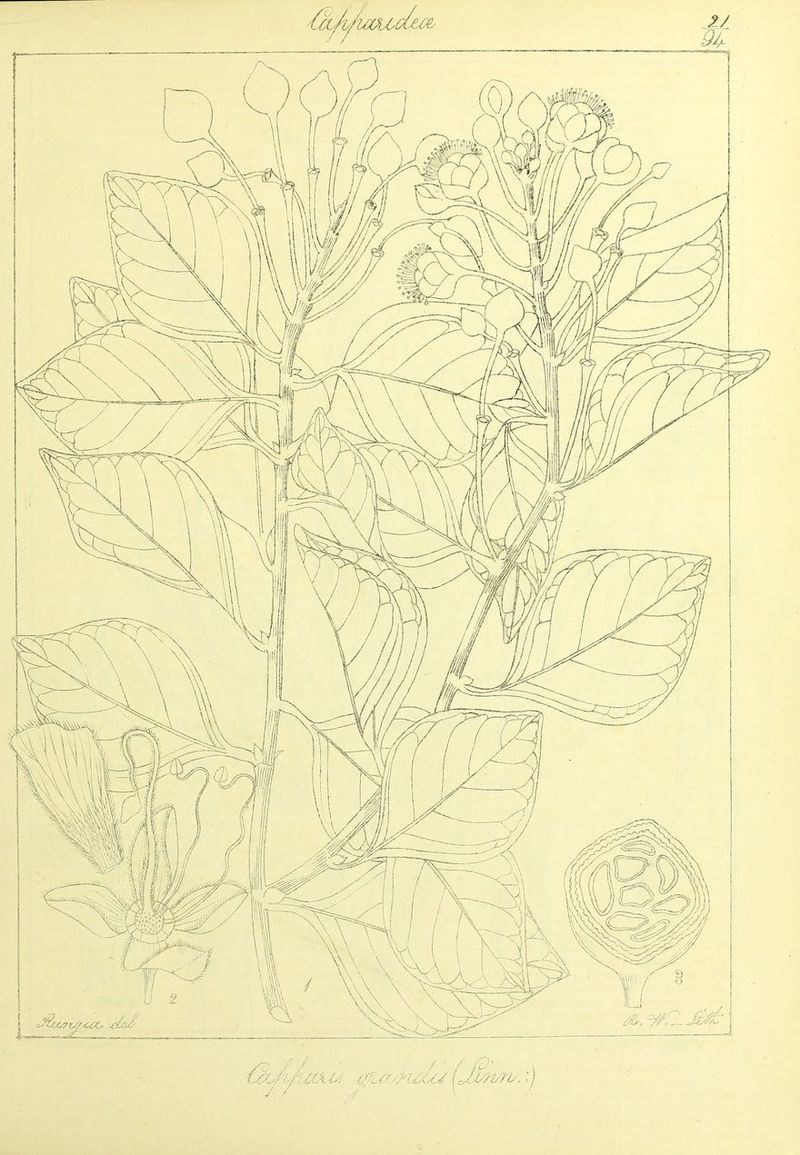 No text description is available for this image