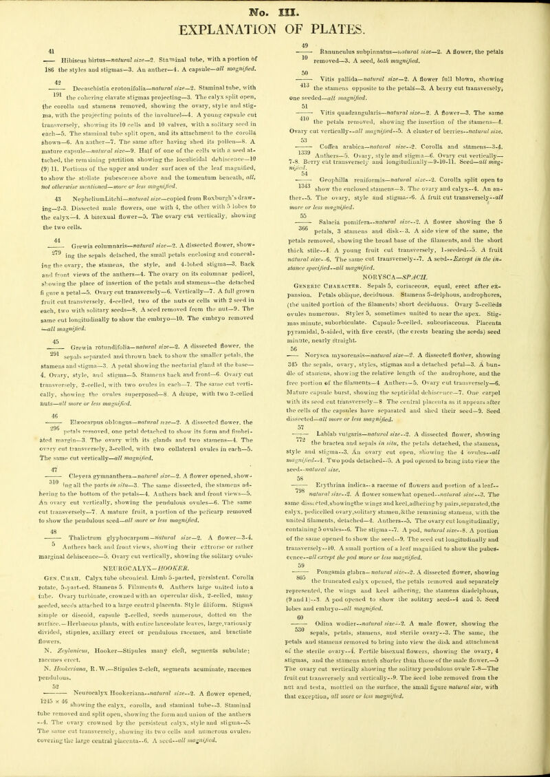 EXPLANATION OF PLATES. Hibiscus hirtas—natural size—2. Staminal tube, with a portion of 186 the styles aud stigmas—3. An anther—4. A capsule—all magnified. 42 _ . Decaschistia crotonifolia—natural size—2. Staminal tube, with 191 the cohering clavate stigmas projecting—3. The calyx split open, the corolla and stamens removed, showing the ovary, style and stig- ma, with the projecting points of the involucel—4. A young capsule cut transversely, showing its 10 cells and 10 valves, with a solitary seed in each—5. The staminal tube split open, and its attachment to the corolla shown—6. An anther—7. The same after having shed its pollen—8. A mature capsule—natural size—9. Half of one of the cells with a seed at- tached, the rem lining partition showing the loculicidal dehiscence—10 (9) 11. Portions of the upper and under surfaces of the leaf magnified, to show the stellate pubescence above and the tomentum beneath, all, not ot/ierwise mentioned—more or less magnified. 43 NepheliumLitchi—natural size—copied from Roxburgh's draw- ing_2-3. Dissected male flowers, one with 4, the other with 5 lobes to the calyx—4. A bisexual flower—5. The ovary cut vertically, showing the two cells. 44 . Grewia columnaris—natural size—2. A dissected flower, show- 279 ing the sepals detached, the small petals enclosing and conceal- ing the ovary, the stamens, the style, and 4-lobed stigma—3. Back and front views of the anthers—4. The ovary on its columnar pedicel, showing the place of insertion of the petals and stamens—the detached fi gure a petal—5. Ovary cut transversely—6. Vertically—7. A full grown fruit cut transversely, 4-celled, two of the nuts or cells with 2 seed in each, two with solitary seeds—8, A seed removed from the nut—9. The same cut longitudinally to show the embryo—10. The embryo removed i—all magnified: 45 Grewia rotundifolia—natural size—2. A dissected flower, the 291 sepals separated and thrown back to show the smaller petals, the stamens and stigma—3. A petal showing the nectarial gland at the base— i. Ovary, style, and stigma—5. Stamens back and front—6. Ovary cut transversely, 2-celled, with two ovules in each—7. The same cut verti- cally, showing the ovules superposed—8. A drupe, with two 2-celled nuts—all more or less magnified. 46 296 310 Elapocavpus oblongus—natural size—2. A dissected flower, the petals removed, one petal detached to show its form and fimbri- ated margin—3. The ovary with its glands and two stamens—4. The ovary cut transversely, 3-celled, with two collateral ovules in each—5. The same cut vertically—all magnified. 47 Cleyera gymnanthera— natural size—2. A flower opened, show- ing all the parts in situ—3. The same dissected, the stamens ad- hering to the bottom of the petals—4. Anthers back and front views—5. An ovary cut vertically, showing the pendulous ovules—6. The same cut transversely—7. A mature fruit, a portion of the pericarp removed to show the pendulous seed—all more or less magnified. 48 ■ Thalictrum glyphocarpum— natural size—2. A flower—3-4. J Anthers back and front views, showing their eitrorse or rather marginal dehiscence—5. Ovary cut vertically, showing the solitary ovule- NEUROCALYX-HOOA'Si?. Gen.Chah. Calyx tube obconical. Limb 6-parted, persistent. Corolla rotate, 5-part-ed. Stamens 5. Filaments 0. Anthers large united into a tube. Ovary turbinate, crowned with an opercular disk, 2-celled, many seeded, seeds attached to a large central placenta. Style Aliform. Stigma simple or discoid, capsule 2-celled, seeds numerous, dotted on the surface.—Herbaeous plants, with entire lanceolate leaves, large,variously divided, stipules, axillary erect or pendulous racemes, and bractiate flowers. N. Zcylanicus, Hooker—Stipules many cleft, segments subulate; racemes erect. N. Hoofieriana, R.W.—Stipules 2-cleft, segments acuminate, racemes pendulous. 52 — Neurocalyx Hookcriana—«a/ttr«7 size—2. A flower opened, 1. o x 46 sjj0Wjng caiyX> corolla, and staminal tuhe--3. Staminal tube removed and split open, showing the form and union of the anthers —4. The ovary crowned by the persistent calyx, style and stigma—&. The same cut transversely, showing its two cells and numerous ovules, covering the largfc central placenta—6. A seed—all magnified. 49 50 ■ Ranunculus subpinnatus—'natural size—2. A flower, the petals removed—3, A seed, both magnified. 410 Vitis pallida—natural size—2. A flower full blown, showing the stamens opposite to the petals'—3. A berry cut transversely; One seeded—all magnified. 51 Vitis quadrangularis—natural size—2. A flower—3. The same the petals removed, showing the insertion of the stamens—4. Ovary cut vertically--iiK magnified--5. A cluster of berries--natural size. 53 • Coffea arabica—natural size—2. Corolla and stamens—3-4. 1339 Anthers—5. Ovary, style and stigma—6. Ovary cut vertically— 7-8. Berry cut transversely ami longitudinally—9-10-li. Seed—all mag- nified. 54 Geophilla reniformis—natural size—2. Corolla split open to 1343 show the enclosed stamens—3. The ovary and calyx—4. An an- ther—5. The ovary, style and stigma—6. A fruit cut transversely—aZi more or less magnified. 55 ... Salacia pomifera—natural size—2. A flower showing the 5 petals, 3 stamens and disk--3. A side view of the same, the petals removed, showing the broad base of the filaments, and the short thick stile—4. A young fruit cut transversely, 1-seeded—5. A fruit natural size- -6. The same cut transversely—7. A seed.—Except in the in- stance specified—all magnified. NORYSCA—SPJCH. Generic Character. Sepals 5, coriaceous, equal, erect after ex- pansion. Petals oblique, deciduous. Stamens 5-delphous, androphores, (the united portion of the filaments) short deciduous. Ovary 5-ceIleds ovules numerous. Styles 5, sometimes united to near the apex. Stig- mas minute, suborbiculate. Capsule 5-celled, subeoriaceous. Placenta pyramidal, 5-sided, with five crests, (the crests bearing the seeds) seed minute, nearly straight. 56 • Norysca mysorensis—natural size—2. A dissected flower, showing 345 the sepals, ovary, styles, stigmas and a detached petal—3. A bun- dle of stamens, showing the relative length of the androphore, and the free portion of the filaments—4 Anthers—5. Ovary cut transversely—6. Mature capsule burst, showing the septicidal dehiscence—7. One carpel with its seed cut transversely—8- The central placenta as it appears after the cells of the capsules have separated and shed their seed—9. Seed dissected—all more or less magnified. 57 ■—— Lablab vulgaris—natural size—2. A dissected flower, showing the bractea and sepals in situ, the petals detached, the stamens, style and stigma—3. An ovary cut open, showing the 4 ovules—all magnified—i. Two pods detached—5. A pod opened to bring into view the seed—natural size. 58 Erythrina indica—a raceme of flowers and portion of a leaf— 79^ natural size--2. A flower somewhat opened—natural size—'6. The same disstcted.showingthe wings and keel,adhering by pairs,separated, the calyx, pedicelled ovary,solitary stamen,&the remaining stamens, with the united filaments, detached—4. Anthers—5. The ovary cut longitudinally, containing 5 ovules—6. The stigma—7. A pod, natural size—8. A portion of the same opened to show the seed—9. The seed cut longitudinally and transversely—10. A small portion of a leaf magnified to show the pubes- cence—aft except the pad more or less magnified. 59 Pongamia glabra— natural size—2. A dissected flower, showing the truncated calyx opened, the petals removed and separately represented, the wings and keel adhering, the stamens diadelphous, lobes and embryo—all magnified. 60 Odina wodier—natural size--2. A male flower, showing the sepals, petals, stamens, and sterile ovary—3. The same, the petals aud stamens removed to bring into view the disk and attachment of the sterile ovary—i. Fertile bisexual flowers, showing the ovary, 4 stigmas, and the stamens much shorter than those of the male flower.—5 The ovary cut vertically showing the solitary pendulous ovule 7-8—The fruit cut transversely and vertically--9. The seed lobe removed from the nnt and testa, mottled on the surface, the small figure natural size, with that exception, all more or less magnified. 805