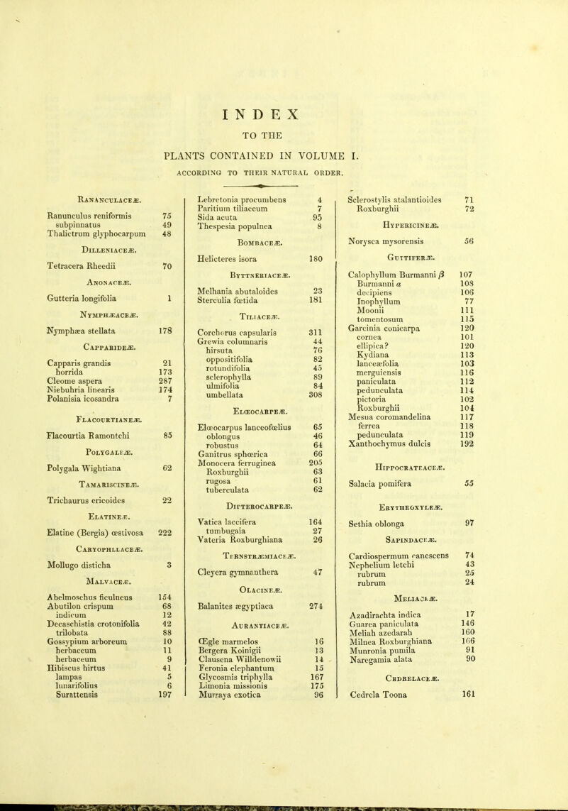 TO THE PLANTS CONTAINED IN VOLUME I. ACCORDING TO THEIR NATURAL ORDER. Rananculace^:. Lebretonia procumbens 4 Sclerostylis atalantioides 71 Pflritinin til ia pfMim X Ui 1 11 U 111 L1L1UV.CU111 7 R ^Yniirffhn 11UAUU1 L^l 111 72 Ranunculus reniformis 75 Sida acuta 95 subpinnatus 49 Thespesia populnea 8 Hypericine^;. Thalictrum glyphocarpum 48 Norysca mysorensis GtJTTIFERiE. 56 BOMBACE^E. Dh-jleniace^;. Helicteres isora 180 letracera Rheedn 70 Byttneeiaceje. Calophyllum Burmanni (3 107 Burtnatini a 1 fW Gutteria longifolia Melhania abutaloides 23 decipiens Inophyllum Moonu 106 1 OlClLUllct 1(1 (KUl 181 TT Nymph^ace^e. 111 Ttt hpfjp, X 1 1 j 1 A <_ ij-T • . tomentosum 115 Nymphaea stellata Cappaeide-e. 178 Pnrfhfifnc r*nr»Qii1 a vi q V^Ulljlll'1 HO 1. tlU3Ul<li 1? Grcwia columnaris hirsuta 311 4.4. Tfi to Garcinia couicarpa cornea ellipica? 120 101 120 Capparis grandis horrida 21 173 oppositifolia rotundifolia oo oZ 45 89 84 308 Kydiana lanceaefolia merguiensis 113 103 116 Cleome aspera 287 sclerophylla ulmifolia umbellata paniculata 112 Niebuhria linearis rnliinicia if*r\cnTifil*ji 174 7 pedunculata pictoria 114 ExCEOCABPEjE. Roxburghii 10* FlACOURTIANE.33. Mesua coromandelina 117 Elceocarpus lanceofeelius 65 ferrea 118 Flacourtia Kamontchi so oblongus 46 pedunculata 110 11V a OLYGALE2E, robustus 64 Xanthochyraus dulcis ly2 Ganitrus sphcerica 66 62 Monocera ferruginea Roxburghii 205 63 HlPPOCEATEACEjE. Tamariscine-e. rugosa tuberculata 61 62 Salacia pomifera 55 Trichaurus ericoides 22 DirTEEOCABPE-33. 1j K Y 1 li 1\ (J A 1 J. r. - i j ■ Elatine*. Vatica laccifera 164 Sethia oblonga 97 Elatine (Bergia) cestivosa 222 tumbugaia 27 Vateria Roxburghiana 26 Sapindace^;. Caryophllaceje. Teenstejemiace^-,. 74 Cardiospermum canescens Mollugo disticha 3 Cleyera gymnanthera 47 Nephelium letchi 43 MalvacEjE. rubrum 25 rubrum 24 Olacineje. Abelmoschus ficulneus 154 Meliaol^;. Abutilon crispum 68 Balanites segyptiaca 274 17 indicura 12 Azadirachta indica Decaschistia crotonifolia 42 AURANTIACE/E. Guarea paniculata 146 trilobata 88 Meliah azedarah 160 Gossypium arboreum 10 CEgle marmelos 16 Milnea Roxburghiana 166 herbaceum 11 Bergera Koinigii 13 Munronia puniila 91 herbaceum 9 Clausena Willdenowii 14 Naregamia alata 90 Hibiscus hirtus 41 Feronia elephantum 15 lampas 5 Glycosmis triphylla 167 CbDEELACEjE. lunarifolius 6 Limonia missionis 175 Surattensis 197 Murraya exotica 96 Cedrela Toona 161