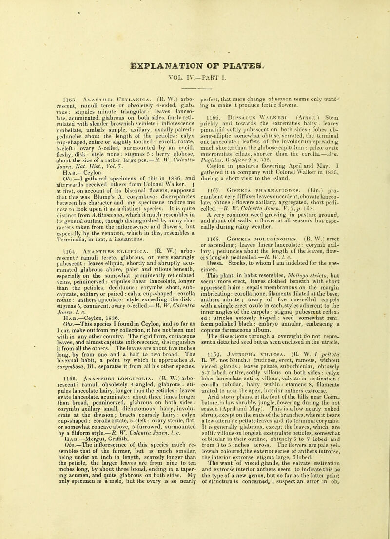 EXPLANATION OP PLATES VOL. IV.—PART I. 1163. Axanthes Ceylanica. (R. W.) arbo- rescent, ramuli terete or obsoletely 4-sided, glab- rous : stipules minute, triangular: leaves lanceo- late, acuminated, glabrous on both sides, finely reti- culated with slender brownish veinlets : inflorescence umbellate, umbels simple, axillary, usually paired : peduncles about the length of the petioles : calyx cup-shaped, entire or slightly toothed : corolla rotate, 5-cleft: ovary 5-celIed, surmounted by an ovoid, fleshy, disk : style none: stigmas 5 : berry globose, about the size of a rather large pea.—jR. W. Calcutta Journ, Nat. Hist., Vol. 7- Hab.—Ceylon. Ohs.—I gathered specimens of this in 1836, and afterwards received others from Colonel Walker. £ at first, on account of its bisexual flowers, supposed that this was Blume's A. corymbosa: discrepancies between his character and my specimens induce me now to look upon it as a distinct species. It is quite distinct from A.Blumcana, which it much resembles in its general outline, though distinguished by many cha- racters taken from the inflorescence and flowers, but especially by the venation, which in this, resembles a Terminalia, in that, a Lasianthus. U64. Axanthes ellipt'ica. (R. W.) arbo- rescent? ramuli terete, glabrous, or very sparingly pubescent: leaves elliptic, shortly and abruptly acu- minated, glabrous above, paler and villous beneath, especially on the somewhat prominently reticulated veins, penninerved : stipules linear lanceolate, longer than the petioles, deciduous : corymbs short, sub- capitate, solitary or paired : calyx cup-shaped : corolla rotate : anthers apiculate: style exceeding the disk : stigmas 5, connivent, ovary 5-celled.—R. W. Calcutta Journ. I. c. Hab—Ceylon, 1836. Obs.—This species I found in Ceylon, and so far as 1 can make out from my collection, it has not been met with in any other country. The rigid form, coriaceous leaves, and almost capitate inflorescence, distinguishes it from all the others. The leaves are about five inches long, by from one and a half to two broad. The bisexual habit, a point by which it approaches A. corymbosa, Bl., separates it from all his other species. 1165. Axanthes longifolia. (R. W.) arbo- rescent ? ramuli obsoletely 4-angled, glabrous : sti- pules lanceolate hairy, longer than the petioles : leaves ovate lanceolate, acuminate ; about three times longer than broad, penninerved, glabrous on both sides i corymbs axillary small, dichotomous, hairy, involu- crate at the division; bracts coarsely hairy : calyx cup-shaped : corolla rotate, 5-cleft: ovary sterile, flat, or somewhat concave above, 5-furrowed, surmounted by a filiform style.—R. W. Calcutta Journ. I. c. Hab.—Mergui, Griffith. Obs.—The inflorescence of this species much re- sembles that of the former, but is much smaller, being under an inch in length, scarcely longer than the petiole, the larger leaves are from nine to ten inches long, by about three broad, ending in a taper- ing acumen, and quite glabrous on both sides. My only specimen is a male, but the ovary is so nearly perfect, that mere change of season seems only want= ing to make it produce fertile flowers. 1166. Difsacus Walkeri. (Arnott.) Stem prickly and towards the extremities hairy: leaves pinnatifid softly pubescent on both sides; lobes ob- long-elliptic somewhat obtuse, serrated, the terminal one lanceolate : leaflets of the involucrum spreading much shorter than the globose capitulum : palece ovate mucronulate ciliate, shorter than the corolla.—Am. Puffillus. Walpersi p. 332. Ceylon in pastures flowering April and May. I gathered it in company with Colonel Walker in 1835, during a short visit to the Island. 1167. Gisekia pharnaciodes. (Lin.) pro- cumbent very diffuse: leaves succulent,obovate lanceo- late, obtuse : flowers axillary, aggregated, short pedi- celled.—R. W. Calcutta Journ. V. 7,p. 162. A very common weed growing in pasture ground, and about old walls in flower at all seasons but espe- cially during rainy weather. 1168. Gisekia moluginoii>es. (R. W.) erect or ascending ; leaves linear lanceolate : corymb axil- lary ; peduncles about the length of the leaves, flow- ers longish pedicelled.—R. W. I. c. Deesa. Stocks, to whom I am indebted for the spe« cimen. This plant, in habit resembles, Mollugo stricta, but seems more erect, leaves clothed beneath with short appressed hairs : sepals membranous on the margin imbricating: corolla none, filaments dilated at the base, anthers adnate ; ovary of five one-celled carpels with a single erect ovule in each,styles adherent to the inner angles of the carpels : stigma pubescent reflex.* ed : utricles setosely hisped : seed somewhat renu form polished black : embryo annular, embracing a copious farinaceous album. The dissections through a oversight do not repre- sent a detached seed but as seen enclosed in the utricle. 1169- Jatropha villosa. (R. W. I. peltata R. W. not Kunth.) fruticose, erect, ramous, without visced glands : leaves peltate, suborbicular, obtusely 5-7 lobed, entire, softly villous on both sides : calyx lobes lanceolate entire, villous, valvate in aestivation i corolla tubular, hairy within : stamens 8, filaments united to near the apex, interior anthers extrorse. Arid stony plains, at the foot of the hills near Coim- batore.in low shrubby jungle,flowering during the hot season (April and May). This is alow nearly naked shrub,except on the ends of thebranches, whereit bears a few alternate peltate leaves and its terminal corymbs. It is generally glabrous, except the leaves, which are softly villous on longish exstipulate petioles, somewhat orbicular in their outline, obtusely 5 to 7 lobed and from 3 to 5 inches across. The flowers are pale yel- lowish coloured,the exterior series of anthers introrse, the interior extrorse, stigma large, 6 lobed. The want of viscid glands, the valvate cestivation and extrorse interior anthers seem to indicate this as the type of a new genus, but so far as the latter point of structure is concerned, I suspect an error in obj