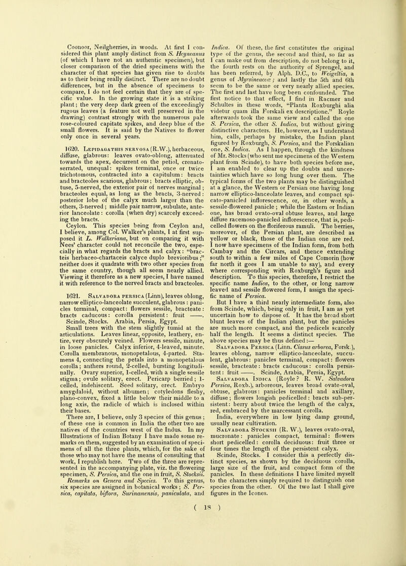 Coonoor, Neilgherries, in woods. At first I con- sidered this plant amply distinct from S. Heyneanus (of which I have not an authentic specimen), but closer comparison of the dried specimens with the character of that species has given rise to doubts as to their being really distinct. There are no doubt differences, but in the absence of specimens to compare, I do not feel certain that they are of spe- cific value. In the growing state it is a striking plant; the very deep dark green of the exceedingly rugous leaves (a feature not well preserved in the drawing) contrast strongly with the numerous pale rose-coloured capitate spikes, and deep blue of the small flowers. It is said by the Natives to flower only once in several years. 1620. Lepidagathis nervosa (R.W.), herbaceous, diffuse, glabrous: leaves ovato-oblong, attenuated towards the apex, decurrent on the petiol, crenato- serrated, unequal: spikes terminal, once or twice trichotomous, contracted into a capitulum: bracts and bracteoles scarious, glabrous; bracts elliptic, ob- tuse, 5-nerved, the exterior pair of nerves marginal; bracteoles equal, as long as the bracts, 3-nerved: posterior lobe of the calyx much larger than the others, 3-nerved; middle pair narrow, subulate, ante- rior lanceolate: corolla (when dry) scarcely exceed- ing the bracts. Ceylon. This species being from Ceylon and, I believe, among Col. Walker's plants, I at first sup- posed it L. Walkeriana, but on comparing it with Nees' character could not reconcile the two, espe- cially in what regards the bracts and calyx: brac- teis herbaceo-chartaceis calyce duplo brevioribus ; neither does it quadrate with two other species from the same country, though all seem nearly allied. Viewing it therefore as a new species, I have named it with reference to the nerved bracts and bracteoles. 1621. Salvadora persica (Linn), leaves oblong, narrow elliptico-lanceolate succulent, glabrous: pani- cles terminal, compact: flowers sessile, bracteate: bracts caducous: corolla persistent: fruit . Scinde, Stocks. Arabia, Persia, Egypt. Small trees with the stem slightly tumid at the articulations. Leaves linear, opposite, leathery, en- tire, very obscurely veined. Flowers sessile, minute, in loose panicles. Calyx inferior, 4-leaved, minute. Corolla membranous, monopetalous, 4-parted. Sta- mens 4, connecting the petals into a monopetalous corolla; anthers round, 2-celled, bursting longitudi- nally. Ovary superior, 1-celled, with a single sessile stigma; ovule solitary, erect. Pericarp berried; 1- celled, indehiscent. Seed solitary, erect. Embryo amygdaloid, without albumen; cotyledons fleshy, plano-convex, fixed a little below their middle to a long axis, the radicle of which is inclosed within their bases. There are, I believe, only 3 species of this genus; of these one is common in India the other two are natives of the countries west of the Indus. In my Illustrations of Indian Botany I have made some re- marks on them, suggested by an examination of speci- mens of all the three plants, which, for the sake of those who may not have the means of consulting that work, I republish here. Two of the three are repre- sented in the accompanying plate, viz. the flowering specimen, & Persica, and the one in fruit, & Stocksii. Remarks on Genera and Species. To this genus, six species are assigned in botanical works ; £. Per- sica, capitata, biflora, Surinamensis, paniculata, and Indka. Of these, the first constitutes the original type of the genus, the second and third, so far as I can make out from description, do not belong to it, the fourth rests on the authority of Sprengel, and has been referred, by Alph. D.C., to Weigeltia, a genus of Myrsineacea; and lastly the 5th and 6th seem to be the same or very nearly allied species. The first and last have long been confounded. The first notice to that effect, I find in Racmer and Schultes in these words, Planta Roxburghi alia videtur quam ilia Forskali ex descriptione. Royle afterwards took the same view and called the one & Persica, the other S1. Indica, but without giving distinctive characters. He, however, as I understand him, calls, perhaps by mistake, the Indian plant figured by Roxburgh, & Persica, and the Forskalian one, S. Indica. As I happen, through the kindness of Mr. Stocks (who sent me specimens of the Western plant from Scinde), to have both species before me, I am enabled to clear up the doubts and uncer- tainties which have so long hung over them. The typical forms of the two plants may be distinguished at a glance, the Western or Persian one having long narrow elliptico-lanceolate leaves, and compact spi- cato-panicled inflorescence, or, in other words, a sessile-flowered panicle ; while the Eastern or Indian one, has broad ovato-oval obtuse leaves, and large diffuse racemoso-panicled inflorescence, that is, pedi- celled flowers on the floriferous ramuli. The berries, moreover, of the Persian plant, are described as yellow or black, those of the Indian one are red. I now have specimens of the Indian form, from both Cambay and the Circars, and thence extending south to within a few miles of Cape Comorin (how far north it goes I am unable to say), and every where corresponding with Roxburgh's figure and description. To this species, therefore, I restrict the specific name Indica, to the other, or long narrow leaved and sessile flowered form, I assign the speci- fic name of Persica. But 1 have a third nearly intermediate form, also from Scinde, which, being only in fruit, I am as yet uncertain how to dispose of. It has the broad short blunt leaves of the Indian plant, but the panicles are much more compact, and the pedicels scarcely half the length. It seems a distinct species. The above species may be thus defined:— Salvadora Persica (Linn. Cissus arborea, Forsk.), leaves oblong, narrow elliptico-lanceolate, succu- lent, glabrous: panicles terminal, compact: flowers sessile, bracteate : bracts caducous : corolla persis- tent : fruit . Scinde, Arabia, Persia, Egypt. Salvadora Indica (Royle ? R. W. Salvadora Persica, Roxb.), arboreous, leaves broad ovate-oval, obtuse, glabrous: panicles terminal and axillary, diffuse; flowers longish pedicelled: bracts sub-per- sistent: berry about twice the length of the calyx, red, embraced by the marcessant corolla. India, everywhere in low lying damp ground, usually near cultivation. Salvadora Stocksii (R. W.), leaves ovato-oval, mucronate: panicles compact, terminal: flowers short pedicelled: corolla deciduous: fruit three or four times the length of the persistent calyx. Scinde, Stocks. I consider this a perfectly dis- tinct species, as shown by the deciduous corolla, large size of the fruit, and compact form of the panicles. In these definitions I have limited myseli to the characters simply required to distinguish one species from the other. Of the two last I shall give figures in the Icones. ( is )