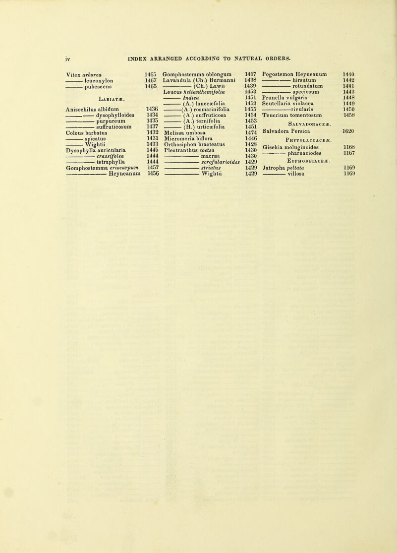 Vitex arborea 1465 leucoxylon 1467 pubescens 1465 Labiate. Anisochilus albidum 1436 dysophylloides 1434 purpureum 1435 suffruticosum 1437 Coleus barbatus 1432 spicatus 1431 Wightii 1433 Dysophylla auricularia 1445 crassifolea 1444 tetraphylla 1444 Gomphostemma eriocarpum 1457 Heyneanum 1456 Gomphostemma oblongum 1457 Lavandula (Oh.) Burmanni 1438 (Ch.) Lawii 1439 Leucas helianthemifolia 1453 Indica 1451 (A.) lancesefolia 1452 (A.) rosmarinifolia 1455 (A.) suffruticosa 1454 (A.) ternifolia 1453 (H.) urticsefolia 1451 Melissa umbosa 1474 Micromeria biflora 1446 Orthosiphon bracteatus 1428 Plectranthus coetsa 1430 macrsei 1430 scrofularioides 1429 striatus 1429 Wightii 1429 Pogostemon Heyneanum ■ hirsutum rotundatum speciosum Prunella vulgaris Scutellaria violacea rivularis Teucrium tomentosum Salvadorace.£. Salvadora Persica Phytolaccaceje. Gisekia moluginoides pharnaciodes Euphorbiaces:. Jatropha peltata villosa 1440 1442 1441 1443 1448 1449 1450 1458 1620 1168 1167 1169 1169