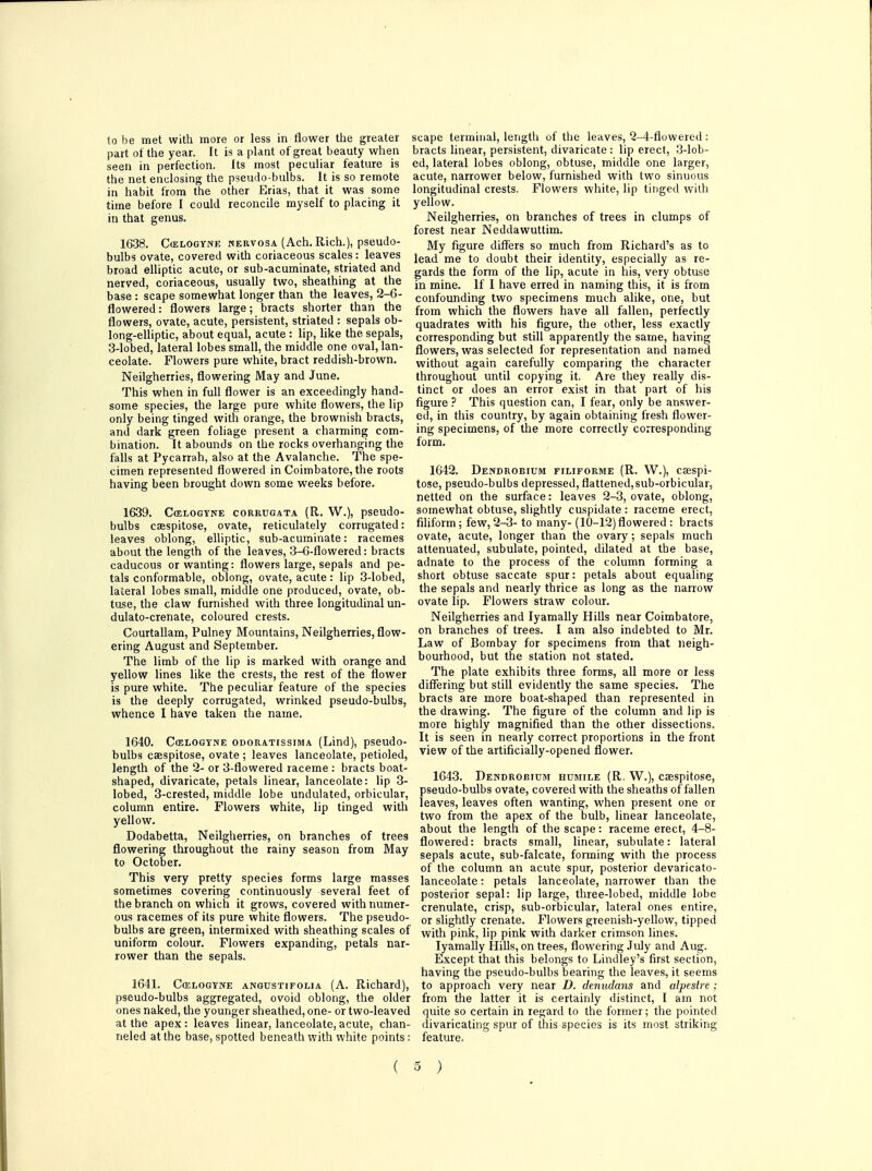to be met with more or less in flower the greater part of the year. It is a plant of great beauty when seen in perfection. Its most peculiar feature is the net enclosing the pseudo-bulbs. It is so remote in habit from the other Erias, that it was some time before I could reconcile myself to placing it in that genus. 1638. CffiLOGYNE nervosa (Ach. Rich.), pseudo- bulbs ovate, covered with coriaceous scales: leaves broad elliptic acute, or sub-acuminate, striated and nerved, coriaceous, usually two, sheathing at the base : scape somewhat longer than the leaves, 2-6- flowered: flowers large; bracts shorter than the flowers, ovate, acute, persistent, striated : sepals ob- long-elliptic, about equal, acute : lip, like the sepals, 3-lobed, lateral lobes small, the middle one oval, lan- ceolate. Flowers pure white, bract reddish-brown. Neilgherries, flowering May and June. This when in full flower is an exceedingly hand- some species, the large pure white flowers, the lip only being tinged with orange, the brownish bracts, and dark green foliage present a charming com- bination. It abounds on the rocks overhanging the falls at Pycarrah, also at the Avalanche. The spe- cimen represented flowered in Coimbatore, the roots having been brought down some weeks before. 1639. C(elogtne corrugata (R. W.), pseudo- bulbs caespitose, ovate, reticulately corrugated: leaves oblong, elliptic, sub-acuminate: racemes about the length of the leaves, 3-6-flowered: bracts caducous or wanting: flowers large, sepals and pe- tals conformable, oblong, ovate, acute: lip 3-lobed, lateral lobes small, middle one produced, ovate, ob- tuse, the claw furnished with three longitudinal un- dulato-crenate, coloured crests. Courtallam, Pulney Mountains, Neilgherries, flow- ering August and September. The limb of the lip is marked with orange and yellow lines like the crests, the rest of the flower is pure white. The peculiar feature of the species is the deeply corrugated, wrinked pseudo-bulbs, whence I have taken the name. 1640. C(elogyne odoratissima (Lind), pseudo- bulbs caespitose, ovate ; leaves lanceolate, petioled, length of the 2- or 3-flowered raceme : bracts boat- shaped, divaricate, petals linear, lanceolate: lip 3- lobed, 3-crested, middle lobe undulated, orbicular, column entire. Flowers white, lip tinged with yellow. Dodabetta, Neilgherries, on branches of trees flowering throughout the rainy season from May to October. This very pretty species forms large masses sometimes covering continuously several feet of the branch on which it grows, covered with numer- ous racemes of its pure white flowers. The pseudo- bulbs are green, intermixed with sheathing scales of uniform colour. Flowers expanding, petals nar- rower than the sepals. 1641. CffiLOGYNE angtjstifolia (A. Richard), pseudo-bulbs aggregated, ovoid oblong, the older ones naked, the younger sheathed, one- or two-leaved at the apex: leaves linear, lanceolate, acute, chan- neled at the base, spotted beneath with white points: scape terminal, length of the leaves, 2-4-flowered : bracts linear, persistent, divaricate : lip erect, 3-lob- ed, lateral lobes oblong, obtuse, middle one larger, acute, narrower below, furnished with two sinuous longitudinal crests. Flowers white, lip tinged with yellow. Neilgherries, on branches of trees in clumps of forest near Neddawuttim. My figure differs so much from Richard's as to lead me to doubt their identity, especially as re- gards the form of the lip, acute in his, very obtuse in mine. If I have erred in naming this, it is from confounding two specimens much alike, one, but from which the flowers have all fallen, perfectly quadrates with his figure, the other, less exactly corresponding but still apparently the same, having flowers, was selected for representation and named without again carefully comparing the character throughout until copying it. Are they really dis- tinct or does an error exist in that part of his figure ? This question can, I fear, only be answer- ed, in this country, by again obtaining fresh flower- ing specimens, of the more correctly corresponding form. 1642. Dendrobitjm filiforme (R. W.), caespi- tose, pseudo-bulbs depressed, flattened,sub-orbicular, netted on the surface: leaves 2-3, ovate, oblong, somewhat obtuse, slightly cuspidate : raceme erect, filiform; few, 2-3- to many- (10-12) flowered : bracts ovate, acute, longer than the ovary; sepals much attenuated, subulate, pointed, dilated at the base, adnate to the process of the column forming a short obtuse saccate spur: petals about equaling the sepals and nearly thrice as long as the narrow ovate lip. Flowers straw colour. Neilgherries and Iyamally Hills near Coimbatore, on branches of trees. I am also indebted to Mr. Law of Bombay for specimens from that neigh- bourhood, but the station not stated. The plate exhibits three forms, all more or less differing but still evidently the same species. The bracts are more boat-shaped than represented in the drawing. The figure of the column and lip is more highly magnified than the other dissections. It is seen in nearly correct proportions in the front view of the artificially-opened flower. 1643. Dendrobitjm hcmile (R. W.), caespitose, pseudo-bulbs ovate, covered with the sheaths of fallen leaves, leaves often wanting, when present one or two from the apex of the bulb, linear lanceolate, about the length of the scape: raceme erect, 4-8- flowered: bracts small, linear, subulate: lateral sepals acute, sub-falcate, forming with the process of the column an acute spur, posterior devaricato- lanceolate: petals lanceolate, narrower than the posterior sepal: lip large, three-lobed, middle lobe crenulate, crisp, sub-orbicular, lateral ones entire, or slightly crenate. Flowers greenish-yellow, tipped with pink, lip pink with darker crimson lines. Iyamally Hills, on trees, flowering July and Aug. Except that this belongs to Lindley's first section, having the pseudo-bulbs bearing the leaves, it seems to approach very near D. denudans and alpestre ; from the latter it is certainly distinct, I am not quite so certain in regard to the former; the pointed divaricating spur of this species is its most striking feature. ( 5 )