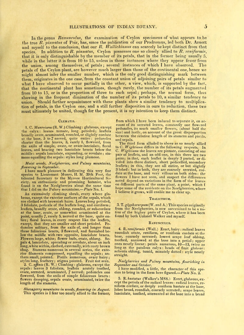 In the genus Ranunculus, the examination of Ceylon specimens of what appears to be the true R. pinnntus of Poir, has, since the publication of our Prodromus, led both Dr. Arnott and myself to the conclusion, that our R. Wallichianus can scarcely be kept distinct from that species. In addition to R. pinnatus, Ceylon possesses one so closely allied to R. reniformis, that it is only distinguishable by the member of its petals, that in the former being usually 5, while in the latter it is from 10 to 15, unless in those instances where they appear fewer from the union, among themselves, of petals ; several instances of which I have observed. The petals of the Ceylon plant, are however much larger than those of the continental one, hence we might almost infer the smaller number, which is the only good distinguishing mark between them, originates in the one case, from the constant union of adjoining pairs of petals similar to what I have observed to occur partially in the other, a view, which, is supported by the fact, that the continental plant has sometimes, though rarely, the number of its petals augmented from 10 to 15, or in the proportion of three to each sepal; perhaps, the normal form, thus showing in the frequent diminution of the number of its petals to 10, a similar tendency to union. Should further acquaintance with these plants show a similar tendency to multiplica- tion of petals, in the Ceylon one, and a still further disposition in ours to reduction, these two must ultimately be united, though for the present, it is my intention to keep them distinct. Clematis. 1. C. Munroiana (R.W.) Climbing: glabrous, except the calyx: leaves ternate, long petioled; leaflets broadly ovate, acuminated, rounded, or slightly cordate at the base, 5 to 7 nerved, quite entire: peduncles shorter than the leaves, 3, rarely 1, flowered, from the axils of simple, ovate, or ovate-lanciolate, floral leaves, and bearing two lanciolate bracts below the middle : sepals lanciolate, expanding, or revolute ; sta- mens equalling the sepals: styles long plumose. Moist woods, Neelgherries, and Pulney mountains, flowering in September. I have much pleasure in dedicating this very fine species to Lieutenant Munro, H. M. 39th Foot, the talented Secretary to the Mysore Horticultural So- ciety, an enthusiastic and promising botanist, who found it on the Neelgherries about the same time lhat I did on the Pulney mountains.—Plate No. 1. An extensively climbing shrub, every where gla- brous, except the exterior surfaces of the sepals, which are clothed with brownish hairs. Leaves long petioled, 3 foliolate, pedicels of the leaflets long, and cirriform; leaflets, broadly ovate, oblong, rounded, or sub-cordate at the base, acute, or somewhat acuminated at the point, usually 7, rarely 5, nerved at the base, quite en- tire; floral leaves, in every respect like the leaflets, except, that they are smaller and short petioled. Pe- duncles solitary, from the axils of, and longer than these foliacious bracts, 3 flowered, and furnished be- low the middle with two opposite, lanciolate bracts. Flowers large, white; flower buds, ovate, oblong. Se- pals 4, lanciolate, spreading or revolute, about an inch long, white within, clothed, externally, with rusty brown shag. Stamens numerous in several series, the exte- rior filaments compressed, equalling the sepals; an- thers small, pointed. Pistils numerous, ovary hairy; styles long, feathery ; stigma pointed. Fruit not seen. 2. C. affinis (R. W.) Climbing : glabrous, except the sepals: leaves 3 foliolate, leaflets acutely toothed, ovate, serrated, acuminated, 7 nerved; peduncles one flowered, from the axils of simple foliaceous bracts : flowers drooping-, sepals ovate, acuminated, twice the length of the stamens. Shevagerry mountains in woods, flowering in August. This species is I fear too nearly allied to the former, from which I have been induced to separate it, on ac- count of its serrated leaves, constantly one flowered peduncles, its much smaller flowers, (about half the size) and lastly, on account of the great disproportion between the relative length of its stamens and pislils, and sepals. The third form alluded to above as so nearly allied to C. Wigktiana differs in the following respects. In C. Wigktiana the leaves are pinnate, consisting of one pair of leaflets, and an odd one, in this there are two pairs; in that, each leaflet is deeply 3 parted, or di- vided into three distinct, short pedicelled, secondarv leaflets; in this, they are all entire, or but slightly 3 lobed : but in both, they are coarsely serrated, cor- date at the base, and very villous on both sides : the flowers I have not seen, and suspect the differences noted depend on variations in the form of the leaves on different parts of the same plant, a point, which I hope some of the residents on the Neelgherries, where I believe it grows, will enable me to clear up. Thalictrtjm. 3. T. glyphocarpum (W. and A.) This species originally from the Neelgherries, is now ascertained to be a na- tive of the higher parts of Ceylon, where it has been found by both Colonel Walker and myself. Ranunculus. 4. R. reniformis (Wall.) Erect, hairy: radical leaves roundish ovate, reniform, or reniform cordate at the base, coarsely serrated; lowest scape leaf oblong, toothed, narrowed at the base into a petiol; upper ones nearly linear: petals numerous, 10 — 13, twice as long as the patulous calyx: heads of fruit globose: achenia oblong, tumid, minutely dotted : style nearly straight. Neelgherries and Pulney mountains, flourishing in September and October. I have modified, a little, the character of this spe- cies to bring in the form here figured.—Plate No. 2. 5. R.hastatus (Walker's MSS.) Erect, glabrous, ex- cept the petiols of the radical leaves: radical leaves, re- niform cordate, or deeply reniform hastate at the base, lobes broad, roundish, coarsely serrated; scape leaves, lanciolate, toothed, attenuated at the base into a broad