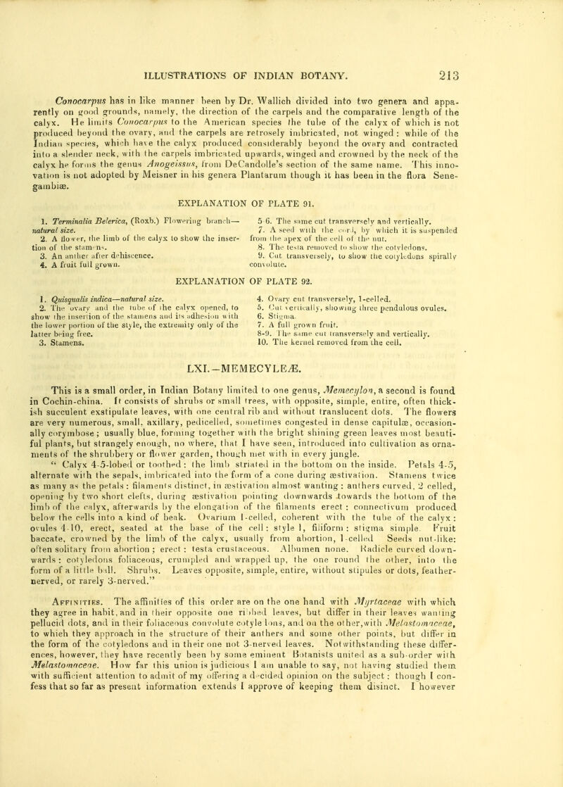 Conocarpus has in like manner been by Dr. Wallich divided into two genera and appa- rently on good grounds, namely, the direction of the carpels and the comparative length of the calyx. He limits Conocarpus to the American species the tube of the calyx of which is not produced beyond the ovary, and the carpels are retrosely imbricated, not winged : while of the Indian species, which have the calyx produced considerably beyond the ovary and contracted into a slender neck, with the carpels imbricated upwards, winged and crowned by the neck of the calyx he forms the genus Anogelssua, from DeCandolle's section of the same name. This inno- vation is not adopted by Meisner in his genera Plantarum though it has been in the flora Sene- gambiae. EXPLANATION OF PLATE 91. 1. Terminalia Belerica, (Roxb.) Flowering branch— natural size. 2. A tio'vcr, the limb of the calyx to show the inser- tion of the stamens. 3. An anther afier dehiscence. 4. A fruit full grown. 5 6. The same cut transversely and vertically. 7. A seed with the cord, by which it is suspended from ilie apex of the cell of the nut. .8. The testa removed to show the cotvledons. y. Cut transversely, to show the cotyltdons spirally convolute. EXPLANATION OF PLATE 92. 1. Quisqualis indica—natural size. 2. The ovary and the tube of ihe calyx opened, to show ihe insertion of the stamens and its adhesion with the lower portion of the style, the extremity only of the latter being free. 3. Stamens. 4. Ovary cut transversely, 1-eelled. 5. Cut. vertically, showing three pendulous ovules. 6. Stigma. 7. A full grown fruit. 8-9. The same cut transversely and vertically. 10. The kernel removed from the cell. LXI. —MEMECYLEiE. This is a small order, in Indian Botany limited to one genus, Memecylon, a second is found in Cochin-china. It consists of shrubs or small trees, with opposite, simple, entire, often thick- ish succulent exstipulate leaves, with one central rib and without translucent dots. T he flowers are very numerous, small, axillary, pedicelled, sometimes congested in dense capitulos, occasion- ally corymbose; usually blue, forming together with the bright shining green leaves most beauti- ful plants, but strangely enough, no where, that I have seen, introduced into cultivation as orna- ments of the shrubbery or flower garden, though met with in every jungle.  Calyx 4-5-lobed or toothed: the limb striated in the bottom on the inside. Petals 4-5, alternate with the sepals, imbricated into the form of a cone during aestivation. Stamens twice as many as the petals : filaments distinct, in aestivation almost wanting : anthers curved, 2 celled, opening by two short clefts, during aestivation pointing down wards .towards the bottom of the limb of the calyx, afterwards by the elongation of the filaments erect: connectivum produced below the cells into a kind of beak. Ovarium I -celled, coherent with the tube of the calyx: ovules 410, erect, seated at the base of the cell: style 1, filiform: stigma simple Fruit baccate, crowned by the limb of the calyx, usually from abortion, 1-celled Seeds nut-like: often solitary from abortion ; erect: testa crustaceous. Albumen none. Radicle curved down- wards : cotyledons foliaceous, crumpled and wrapped up, the one round the other, into the form of a little ball. Shrubs. Leaves opposite, simple, entire, without stipules or dots, feather- nerved, or rarely 3-nerved. Affinities. The affinities of this order are on the one hand with M/jrtaceae with which they agree in habit, and in their opposite one ri'ibed leaves, but differ in their leaves wanting pellucid dots, and in their foliaceous convolute cotyle Ions, and on the other,with MeloMomaceae, to which they approach in the structure of their anthers and some other points, but differ in the form of the cotyledons and in their one not 3-nerved leaves. Notwithstanding these differ- ences, however, they have recently been by some eminent Botanists united as a sub-order with Melaatomncene. How far this union is judicious I am unable to say, not having studied them with sufficient attention to admit of my offering a decided opinion on the subject : though I con- fess that so far as present information extends I approve of keeping them disinct. I however