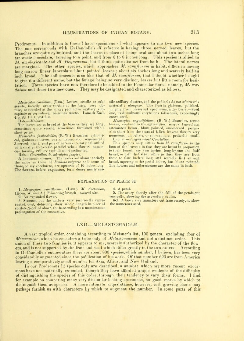 Prodromus. In addition to these T have specimens of what appears to me two new species. The one corresponds with DeCandolle's M. trinerve in having three nerved leaves, hut the branches are quite cylindrical, and the leaves in place of being oval and about two inches long are ovate lanceolate, tapering to a point, and from 6 to 8 inches long. This species is allied to M. amplfxicaule and M. Heyneamim, but I think quite distinct from both. The lateral nerves are marginal. The other species, which approaches M. ramijiorum in habit, differs in having long narrow linear lanceolate blunt pointed leaves; about six inches long and scarcely half an inch broad. The inflorescence is so like that of M. ramiflorum, that I doubt whether I ought to give it a different name, but the foliage being so very distinct, leaves but little room for hesi- tation. Three species have now therefore to be added to the Peninsular flora—namely, M. cor- datum and these two new ones. They may be designated and characterized as follows. Memecylon cordatum, (Lam.) Leaves sessile or sub- sessile, broadly ovate-cordate at the base, very ob- tuse, or rounded at the apex; peduncles axillary, sub- capitate or corymbose, brunches terete. Lamark Encl. 4 p. 89. HI t, 2S4 f. 2. Hab.—Malabar. The leaves are as broad at the base as they are long, sometimes quite sessile, sometimes furnished with a short petiol. Memecylon jambosioides, (R. W.) Branches cylindri- cal, glabrous: leaves ovate, lanceolate, acuminated; 3-nerved: 'he Literal pair of nerves sub-marginal, united with smaller transverse parallel veins: flowers numer- ous, forming axillary capituli short pe licelled. Hab.—Courtallum in sub-alpine jungles. A handsoin ■ species. The leaves are almost entirely the same as those of Jambosa vulga?-is and some of those, on my specimens, are upwards of 10 inches long. The flowers, before expansion, form dense nearly ses- sile axillary clusters, and the pedicels dp not afterwards materially elongate. The fruit is glabrous, polished, judging from preserved specimens, a dry berrv.—Seed one, exalbuminous, cotyledons foliaceous, exceedingly convoluted. Memecylon angustifolium, (R. W.) Brandies, terate leaves, confined to the extremities, narrow lanceolate, attenuated below, blunt pointed, one-nerved; pedun- cles short from the scars of fallen leaves; flowers very numerous, umbellate, or sub-capitate, pedicells small. Habitat.—Jungles about Courtallum. Th s species only differs from M. ramijiorum in the form of the leaves; in that they are broad in proportion to their length say two inches long by one and half broad, or half that size; while in this, they are from three to four inch 's Ion? an I scarcely half an inch broad, tapering to the petiol below, but blunt pointed. The flowers and inflorescence are the same in both. EXPLANATION OF PLATE 93. 1. Memecylon ramijiorum, (Lam.) M. tinctorium, 4. A petal. (Koen. W. and A.) Flowering branch—natural size. 5. The ovary shortly after the fall of the petals cut 2. An expanded Mower. vertically, showing the ascending ovules. 3. Stamens, but the anthers very incorrectly repre- 6-7. A berry v-ry immature cut transversely, to show sented, oval, dehiscing their whole length in place of the numerous seed. cordate, 2-celled above, the base ending in a membranous prolongation of the connective. LXII.—MELASTOMACE^E. A vast tropical order, containing according to Meisner's list, 100 genera, excluding four of Memecyleae, which he considers a tribe only of Melast.omaceae and not a distinct order. This union of these two families is, it appears to me, scarcely authorized by the character of the flow- ers, and is not supported by the fruit and seed which differ greatly in the two orders. According to DeCandolle's enumeration there are about 800 species,which number, I believe, has been very considerably augmented since the publication of his work. Of that number 620 are from America leaving a comparatively small number for Asia, Africa, and New Holland. In our Prodromus 1.5 species only are described, a number which my more recent excur- sions have not materially extended, though they have afforded ample evidence of the difficulty of distinguishing the species of this order, through their tendency to vary their forms. I find for example on comparing many very dissimilar looking specimens, no good marks by which to distinguish them as species. A more intimate acquaintance, however, with growing plants may perhaps furnish us with characters by which to augment the number. In some parts of this