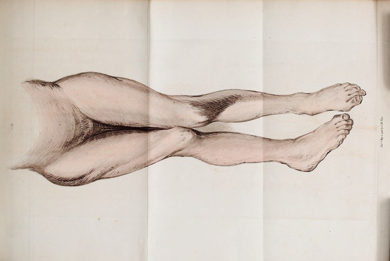 PttifJVajr s./jyf. Oy CJi.J'ryt