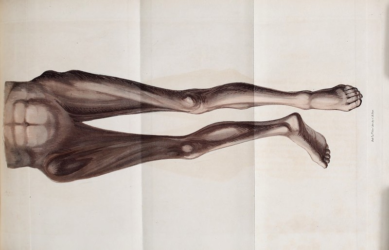 i.by C.B.Tye.