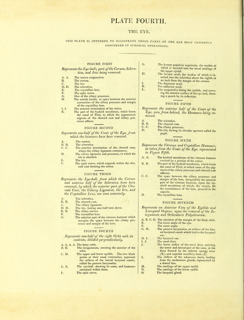 PLATE FOURTH THE EYE, THIS PLATE IS INTENDED TO ILLUSTRATE THOSE PARTS OF THE EYE MOST COMMONLY CONCERNED IN SURGICAL OPERATIONS. FIGURE FIRST Represents the Rife-hall; part of the Cornea, Sclero- tica, and Iris, being removed. A. A. The tunica conjunctiva. B. The cornea. C. The iris. D. D. The sclerotica. E. The crystalline lens. F. The optic nerve. G. One of the ciliary processes. H. The zonula lucida, or space between the anterior extremities of the ciliary processes and margin of the crystalline lens. I. I. The anterior termination of the retina. K. The part of the hyaloid membrane, which forms the canal of Petit, to which the pigmentum nigrum of the choroid coat and ciliary pro- cesses adhere. FIGURE SECOND Represents one-half of the Coats of the Eye, from xxihich the humours have been removed. A. The cornea. B. B. The sclerotica. C. C. Tlie anterior termination of the choroid coat, where the ciliary ligament commences. D. The ciliary ligament and processes, to which the iris is attached. E. The iris. F. The optic nerve, which expands within the cho- roid coat forming the retina. FIGURE THIRD Represents the Eye-ball, from 'which the Cornea and anterior half of the Sclerotica have been removed, by •which the anterior part of the Cho- roid Coat, the Ciliary Ligament, the Iris, and the Crystalline Lens, are seen anteriorly. A. The sclerotica. B. B. The choroid coat. C. The ciliary ligament. D. D. The iris, having one-half torn down. E. E. The ciliary nerves. F. The crystalline lens. G. The anterior part of the vitreous humour which occupies the space between the ciliary pro- cesses and margin of the lens. FIGURE FOURTH Represents one-haf of the right Orbit with its contents, divided perpendicularly. A. A. A. A. The bony orbit. B. B. The integuments, covering the anterior of the orbit. C. D. The upper and lower eyelids. Tlie two black points at their nasal extremities, represent the orifices of the lateral lacrymal canals, called the punctae lacrymaliae. The eye-ball, showing its coats, and humours contained within them. The optic nerve. The levator palpebr® superioris, the tenddn of which is inserted into the tarsal cartilage of the upper eyelid. The levator oculi, the tendon of which is in- serted into the sclerotica about the eighth of an inch from the margin of the cornea. The depressor oculi. The adductor oculi. The conjunctiva lining the eyelids, and cover- ing the anterior surface of the eye-ball, form- ing a pouch by its reflection. FIGURE FIFTH Represents the anterior half of the Coats of the Eye, seen from behind, the Humours being re- moved. A. The sclerotica. B. B. The choroid coat. C. C. The ciliary processes. D. The iris, having its circular aperture called the pupil. FIGURE SIXTH Represents the Vitreous and Crystalline Humours, as taken from the Coats of the Eye, represented in Figure Fifth. A. A. The hyaloid membrane of the vitreous humour covered by a portion of the retina. B. B. The part of the hyaloid membrane, which forms the canal of Petit, to which some of the pig- ment of the ciliary processes and choroid coat adheres. C. C. The space between the ciliary processes and margin of the lens, occupied by the anterior part of the vitreous humour, upon the hy- aloid membrane of which, the vessels, for the nourishment of the lens, proceed to the capsule. D. The crystalline lens. FIGURE SEVENTH Represents an Anterior View of the Eyelids and Lacrymal Organs, upon the removal of the In- teguments and Orbicularis Palpebrarum. A. B. C. D. The situation of the margin of the bony orbit. E. The inner angle of the eye. F. The outer angle. G. H. The punctae lacrymaliae, or orifices of the late- ral lacrymal canals which lead to the lacrymal D. I. The lacrymal sac. I. J. The nasal duct. J. The lower orifice of the nasal duct, entering the lower and lateral part of the nose, at the fossa formed by the inferior spongy bone (K), and superior maxillary bone (J). L. The orifices of the sebaceous ducts, leading from the meibomian glands, represented by a dotted line. M. The cartilage of the upper eyelid. N. The cartilage of the lower eyelid. O. The lacrymal gland. G. H. I. K. L. E. E.